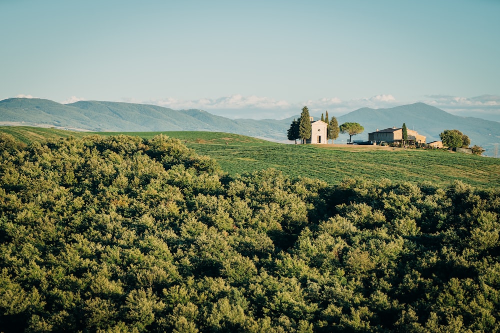 a green field with trees and buildings