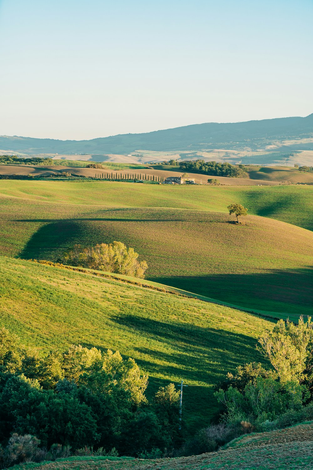 a landscape with trees and grass