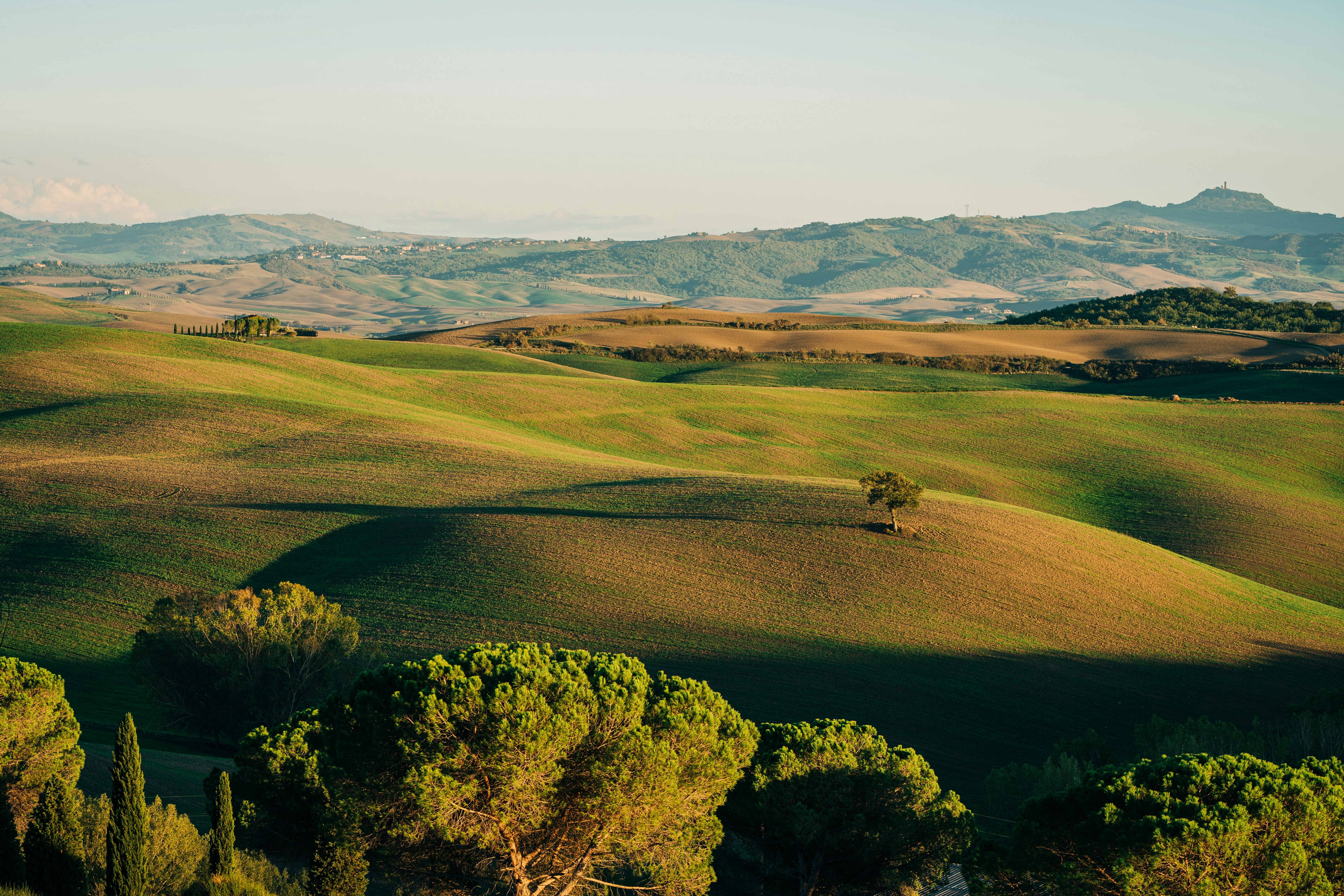 A landscape with trees and hills in the background