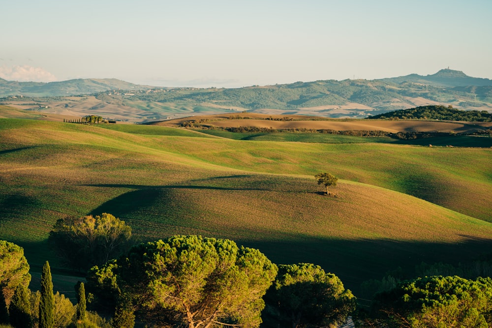 Un paisaje con árboles y colinas al fondo