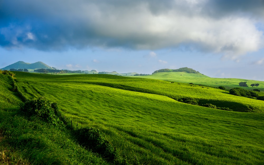 a green hilly landscape