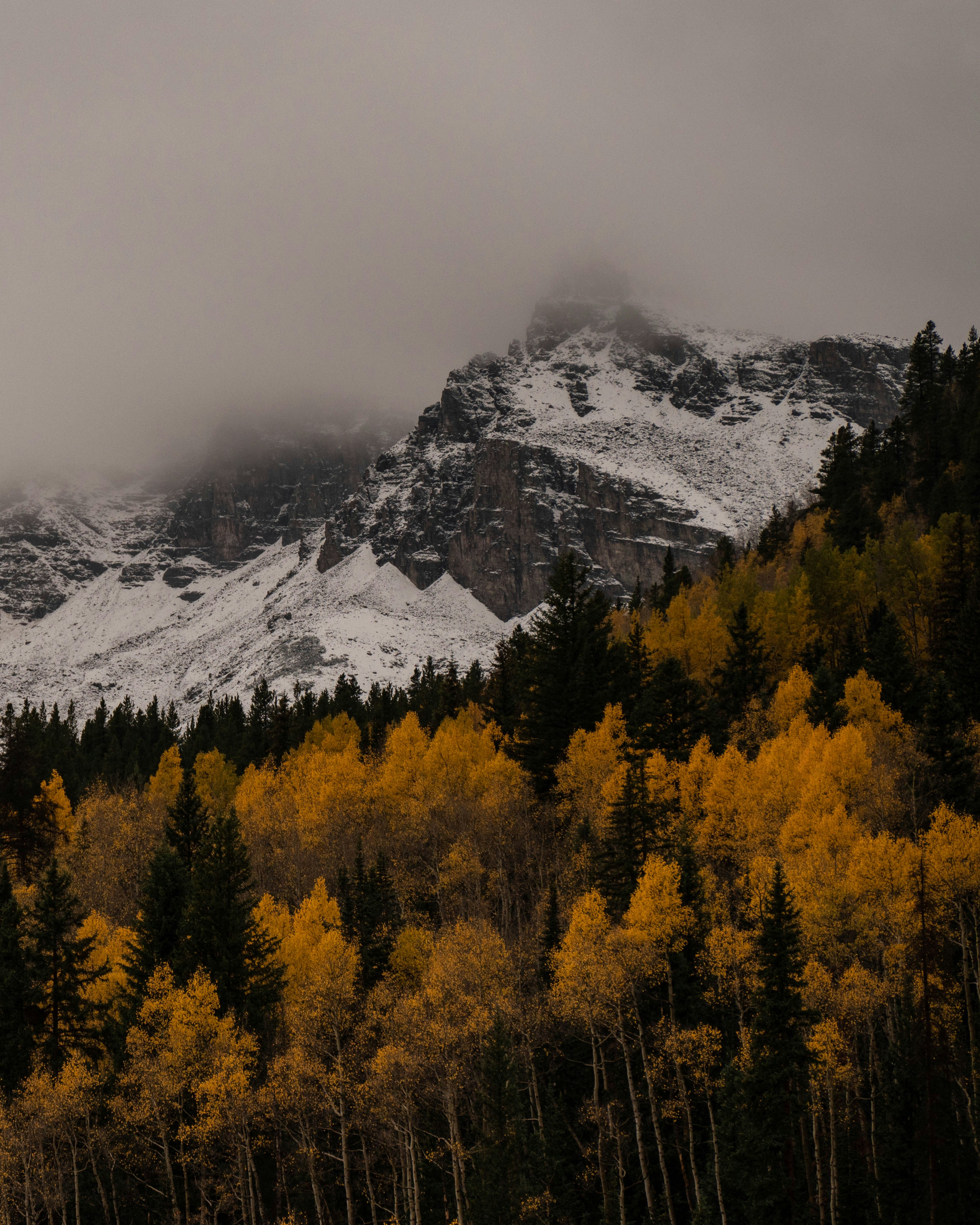 DO I GO FOR A WALK WITH A MAN IN THE PARK?