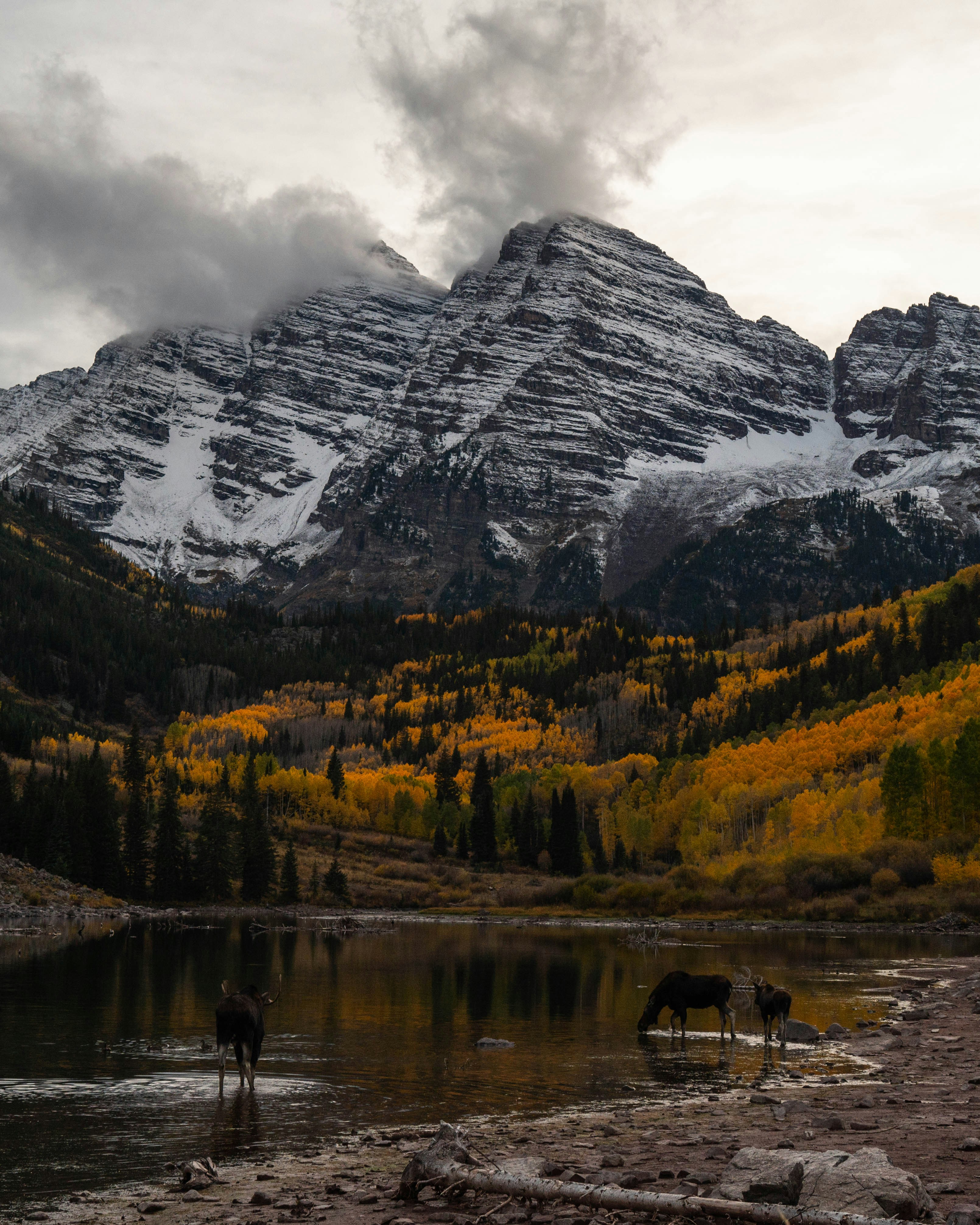 Photo by madisonkuhn