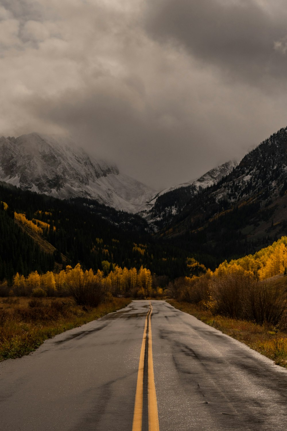 a road in the mountains