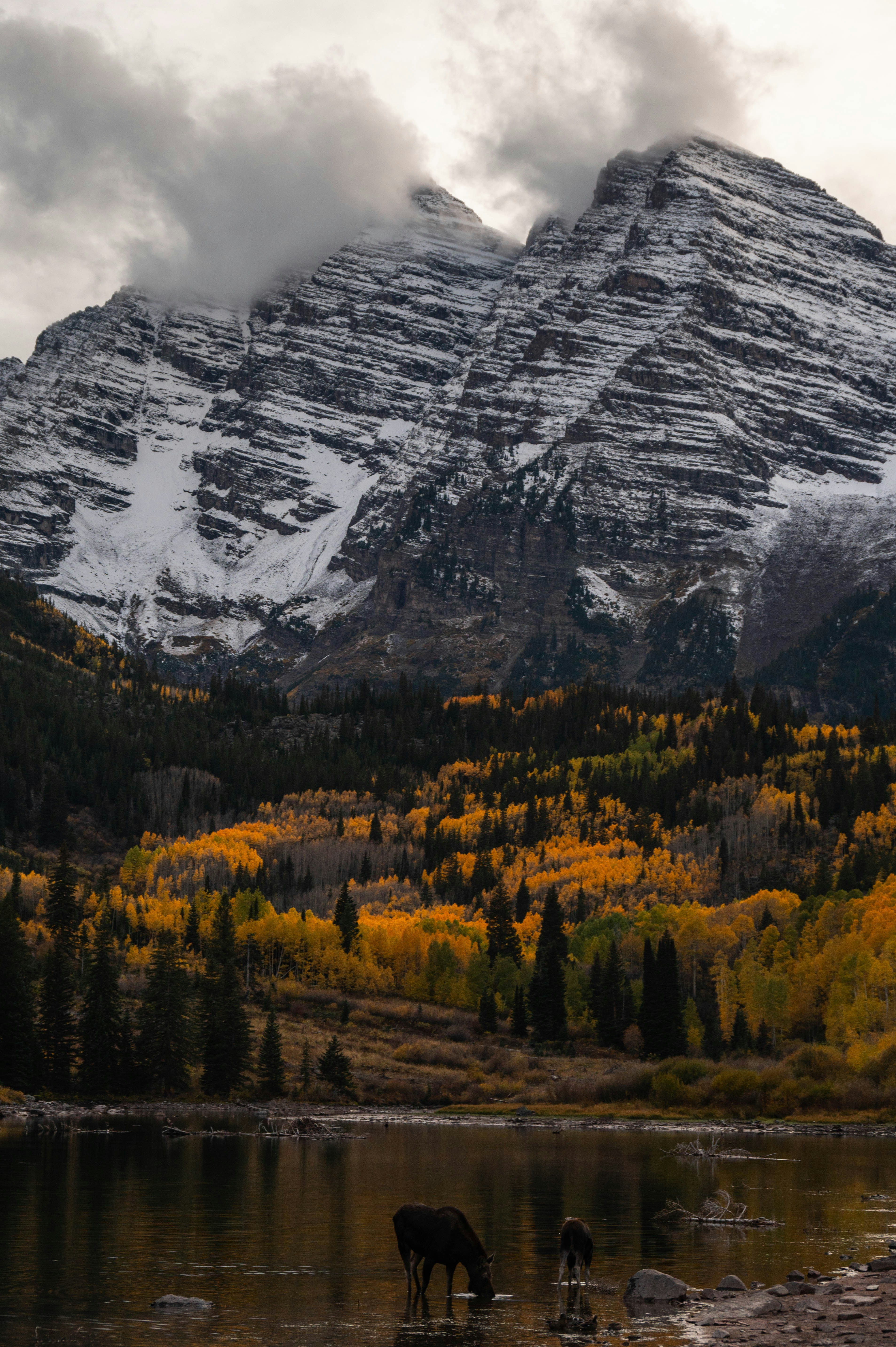 Photo by madisonkuhn