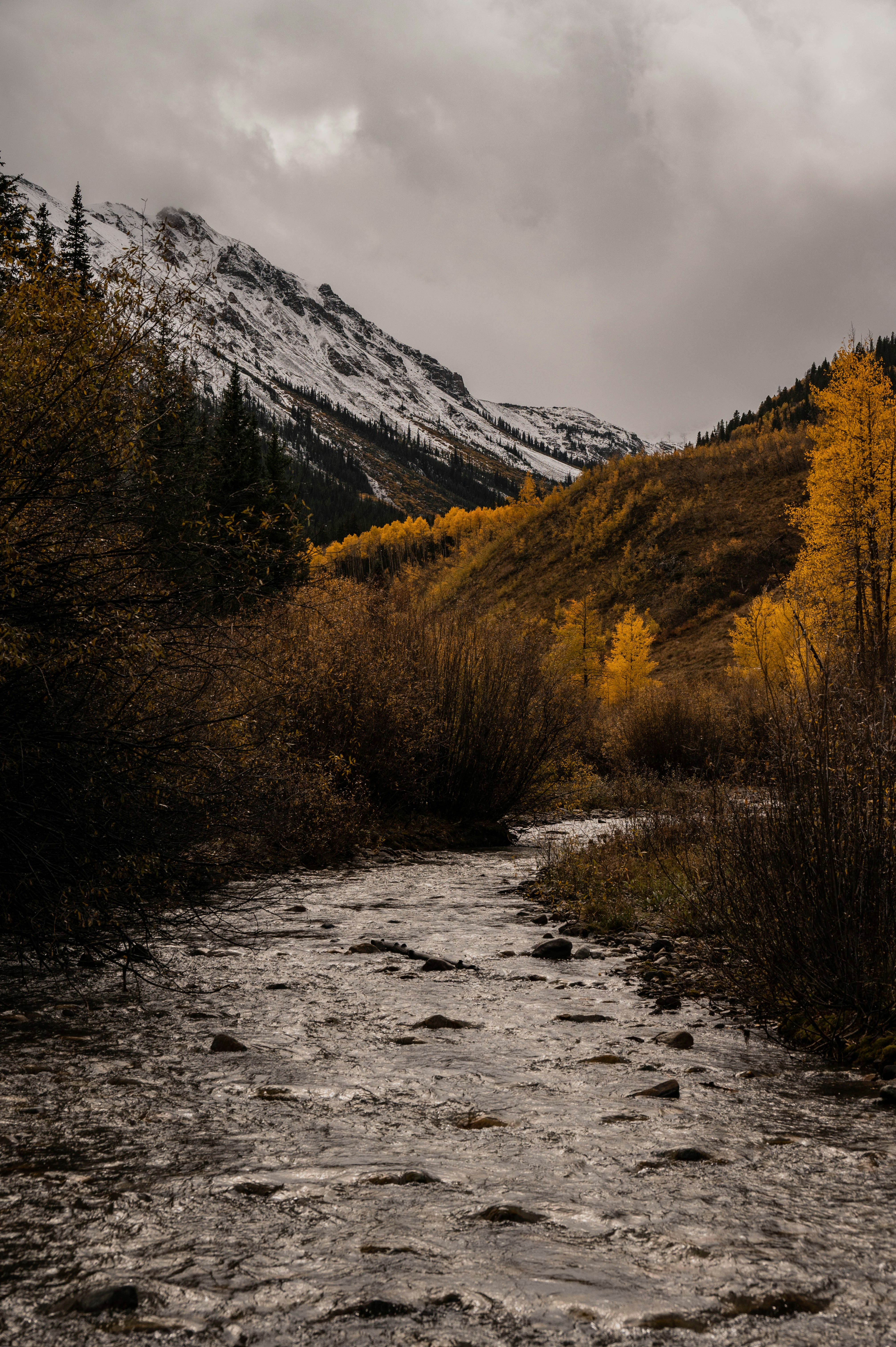 Photo by madisonkuhn