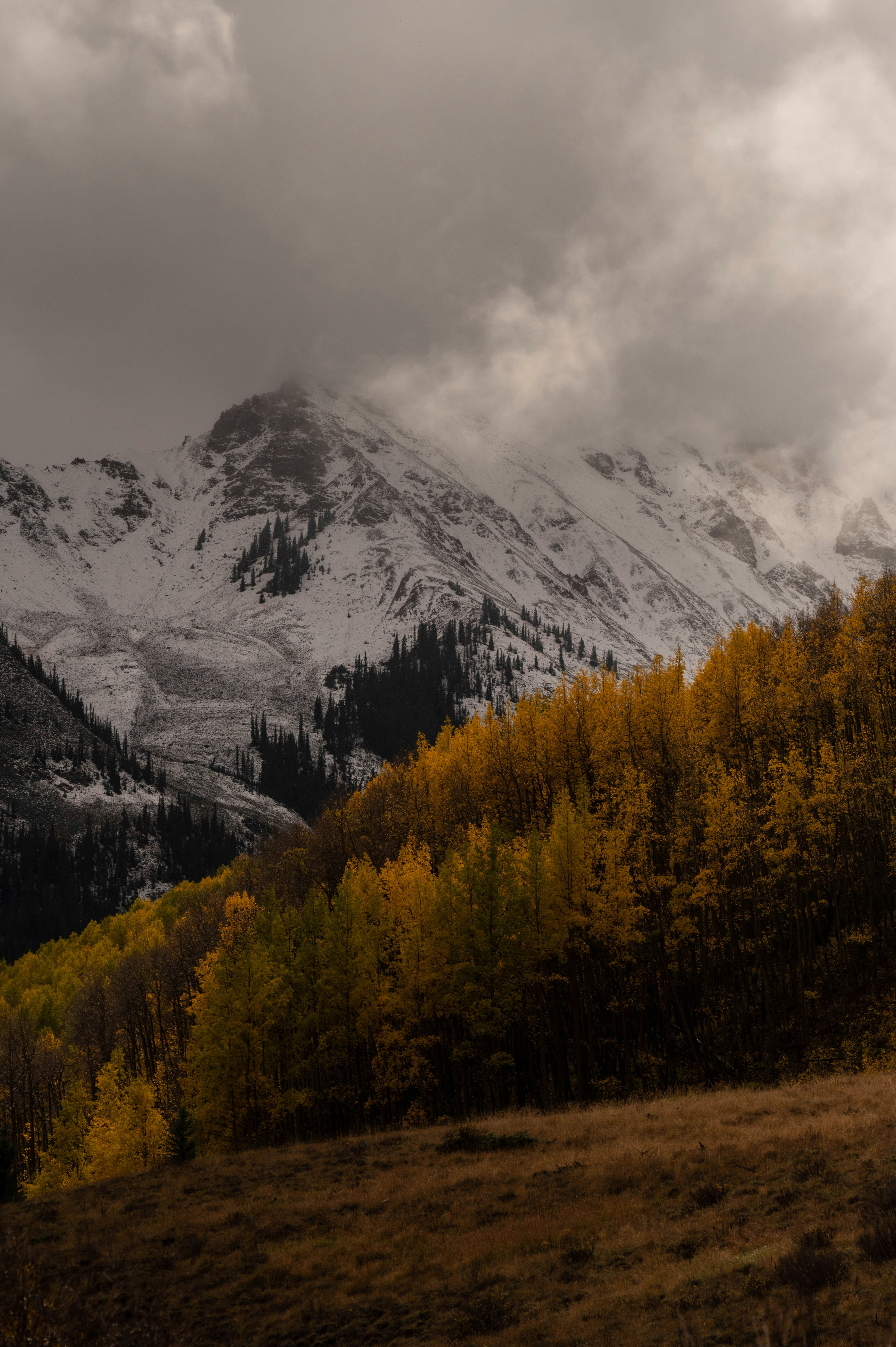 Photo by madisonkuhn