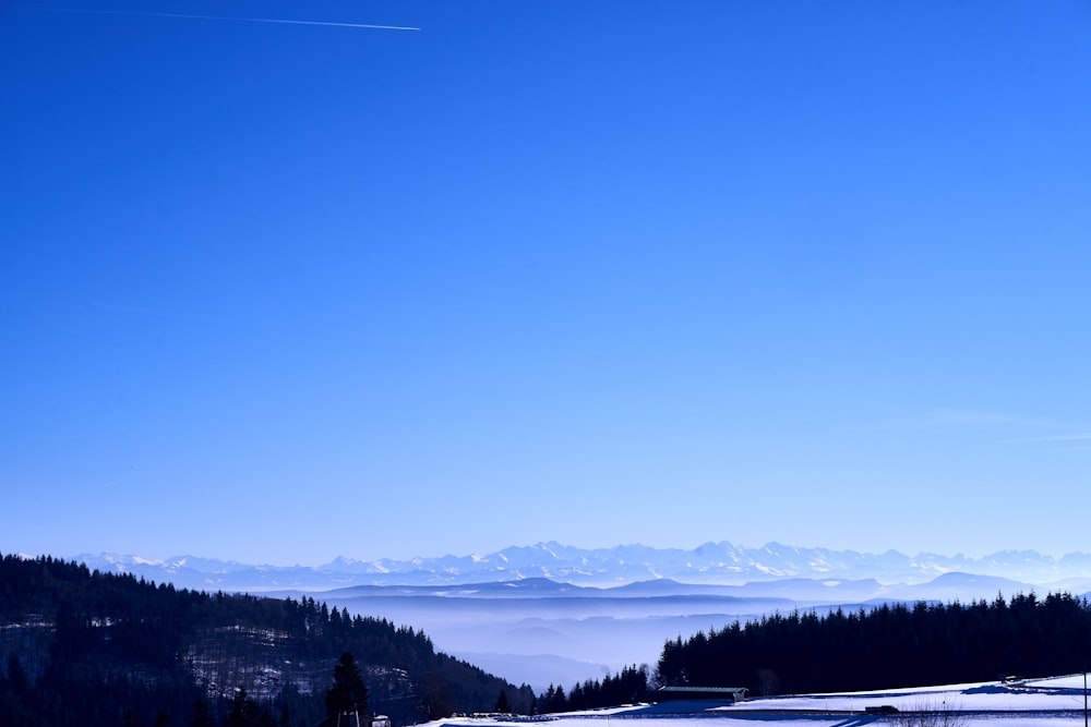 a snowy landscape with trees and mountains