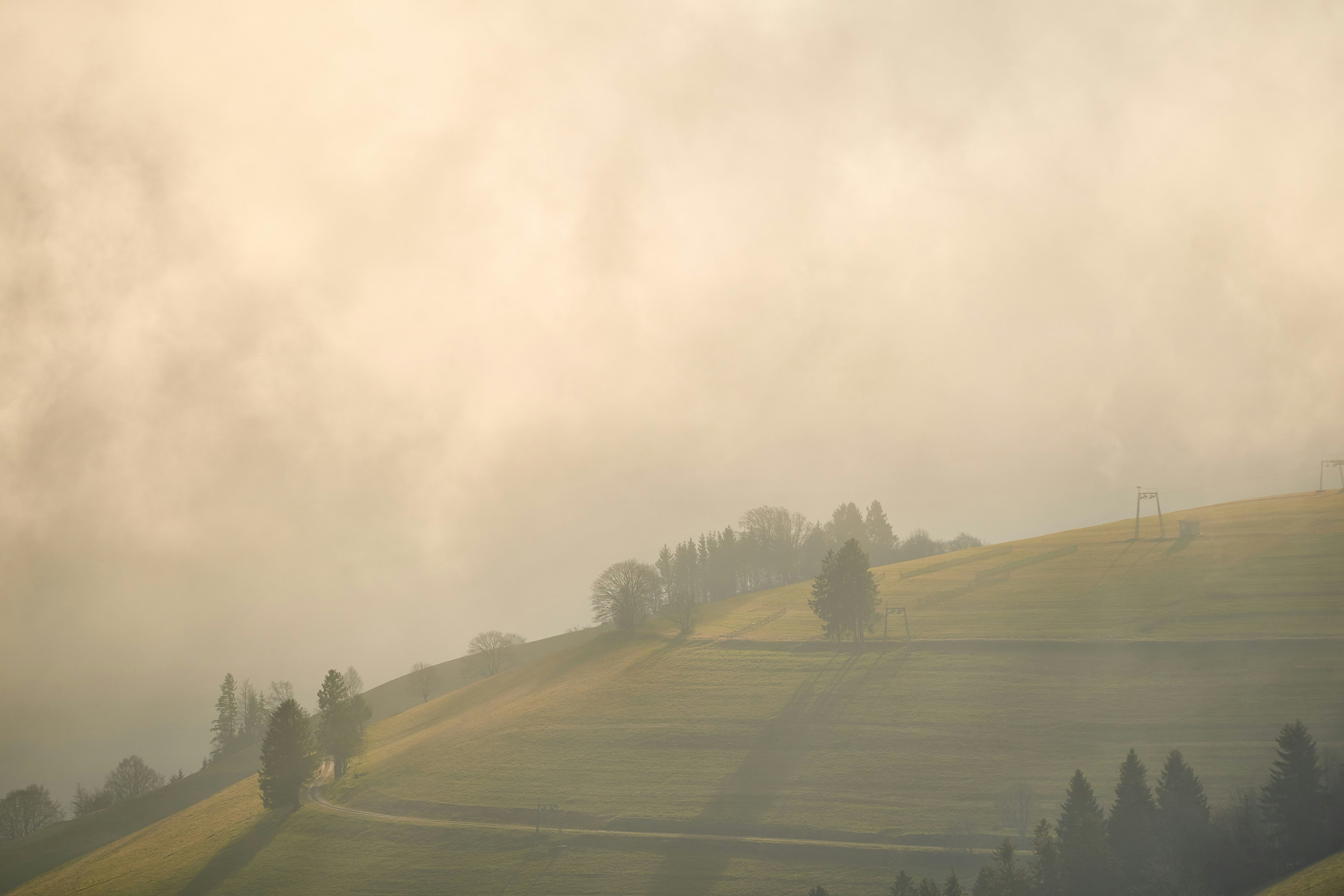 Photo by wolfgang_hasselmann