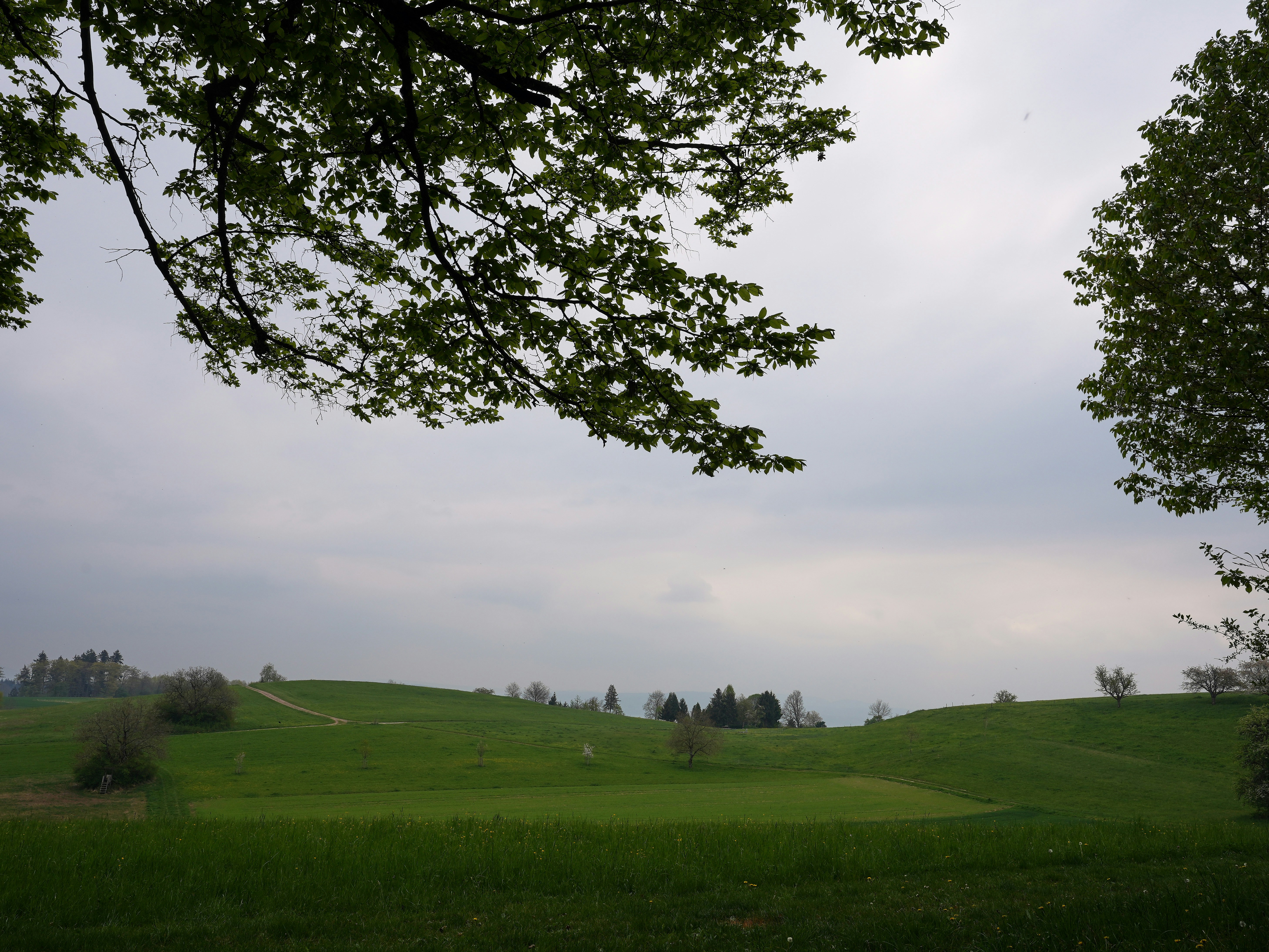 Photo by wolfgang_hasselmann