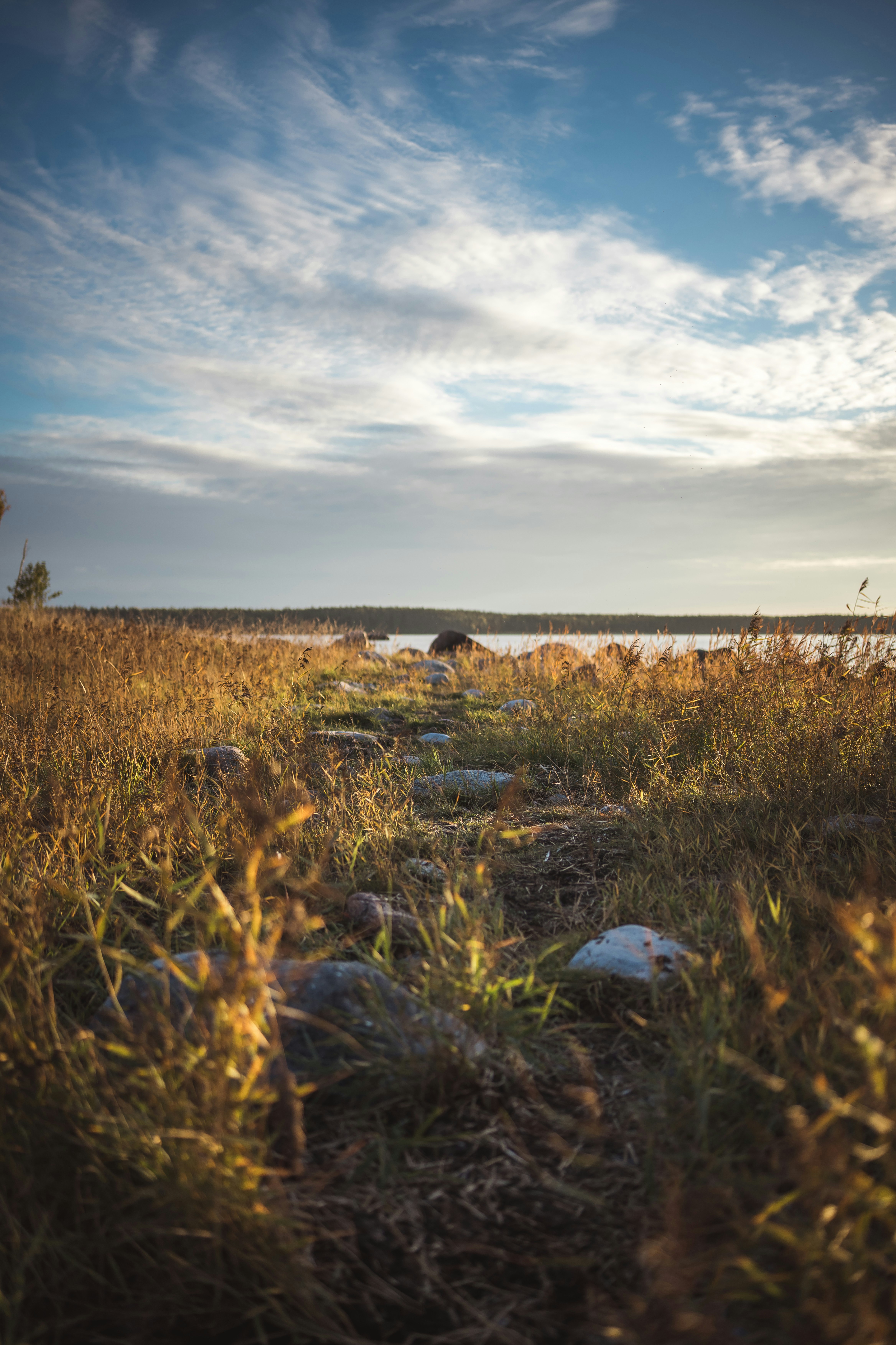 Photo by janekvaldsalu