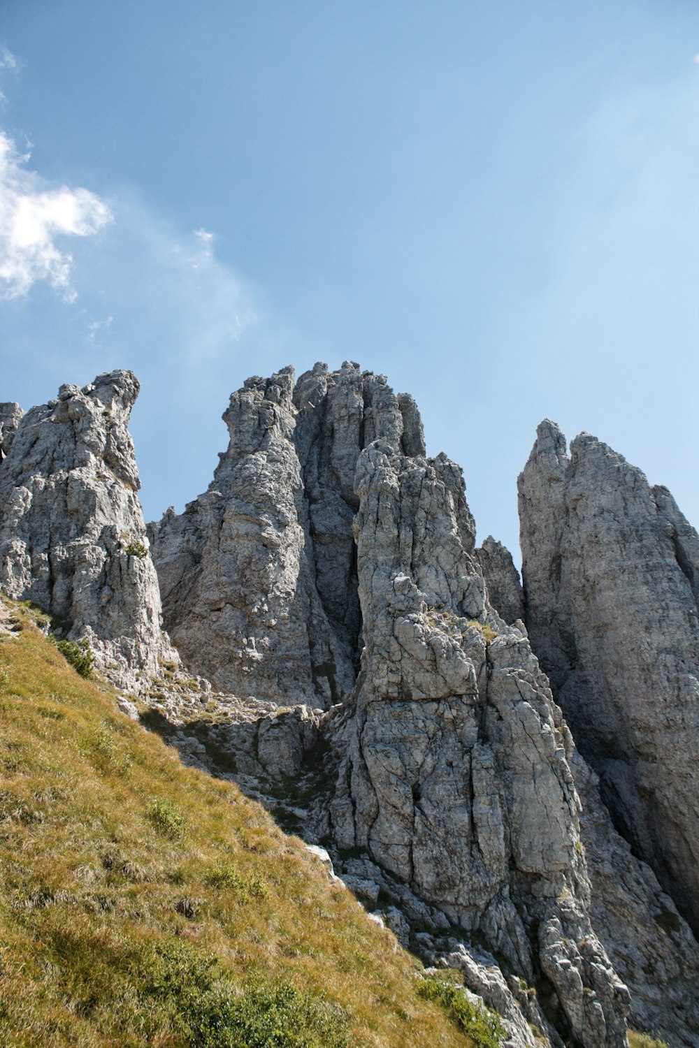 a rocky mountain with trees