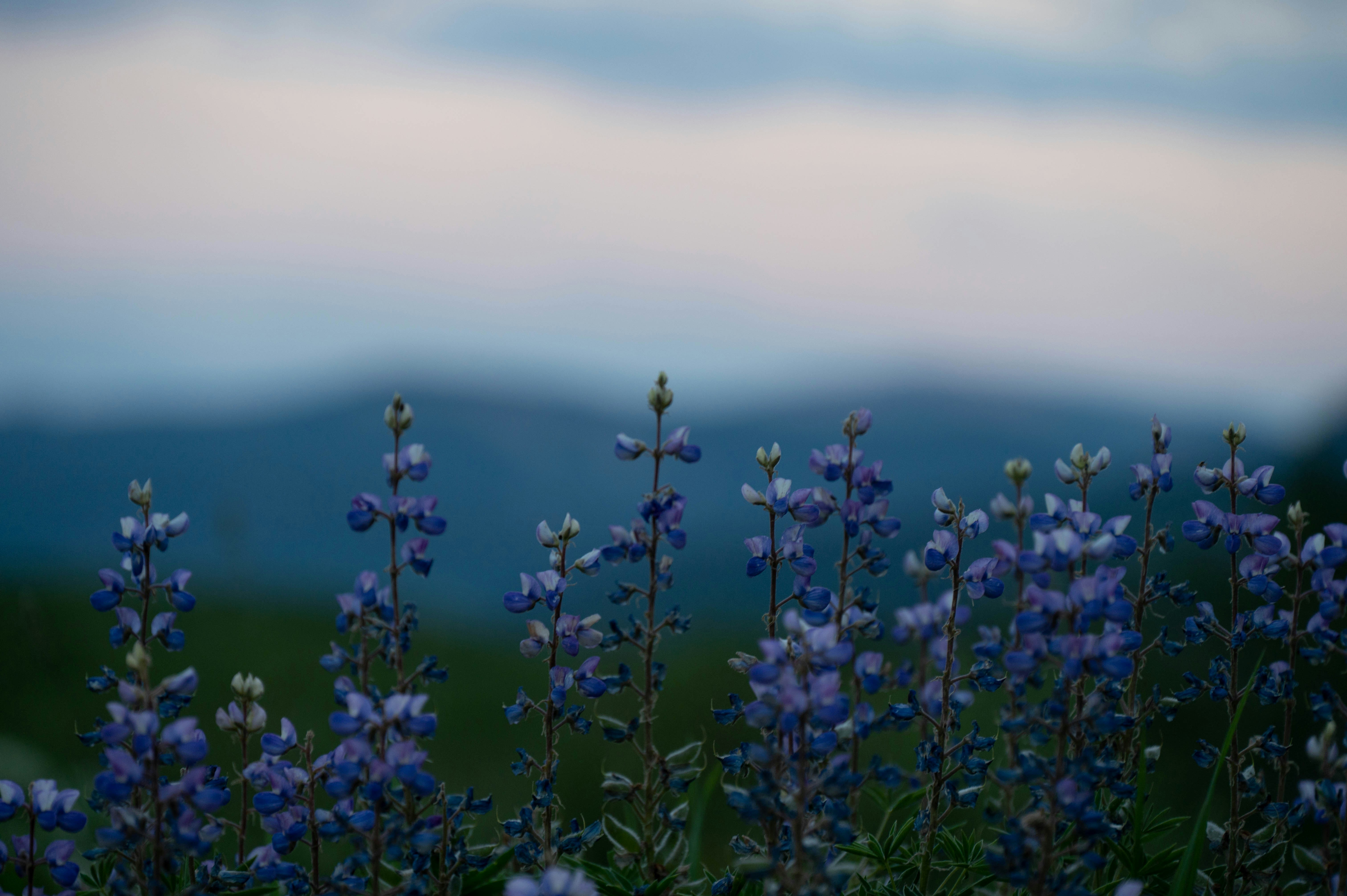 Photo by madisonkuhn