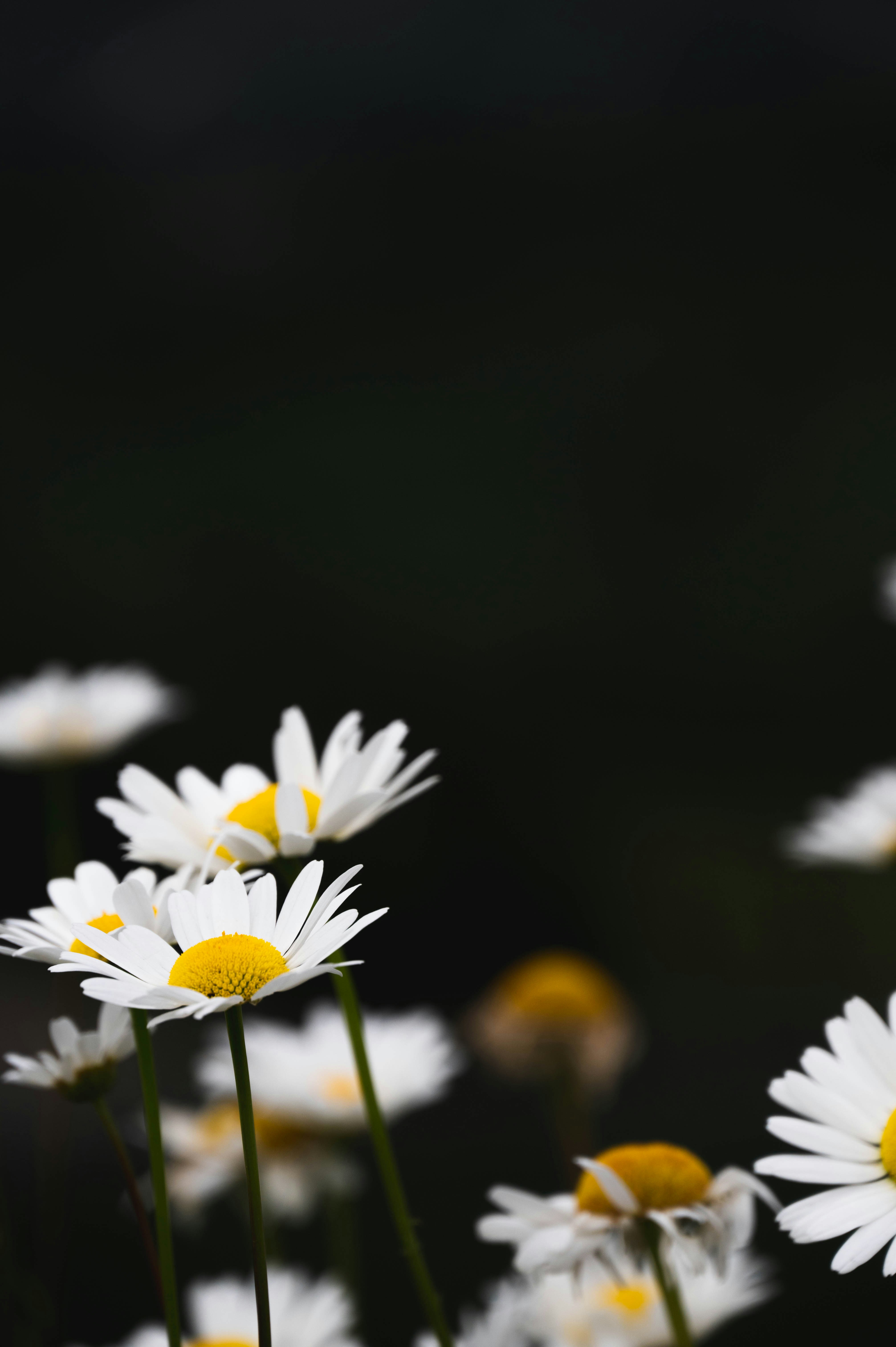 Photo by madisonkuhn