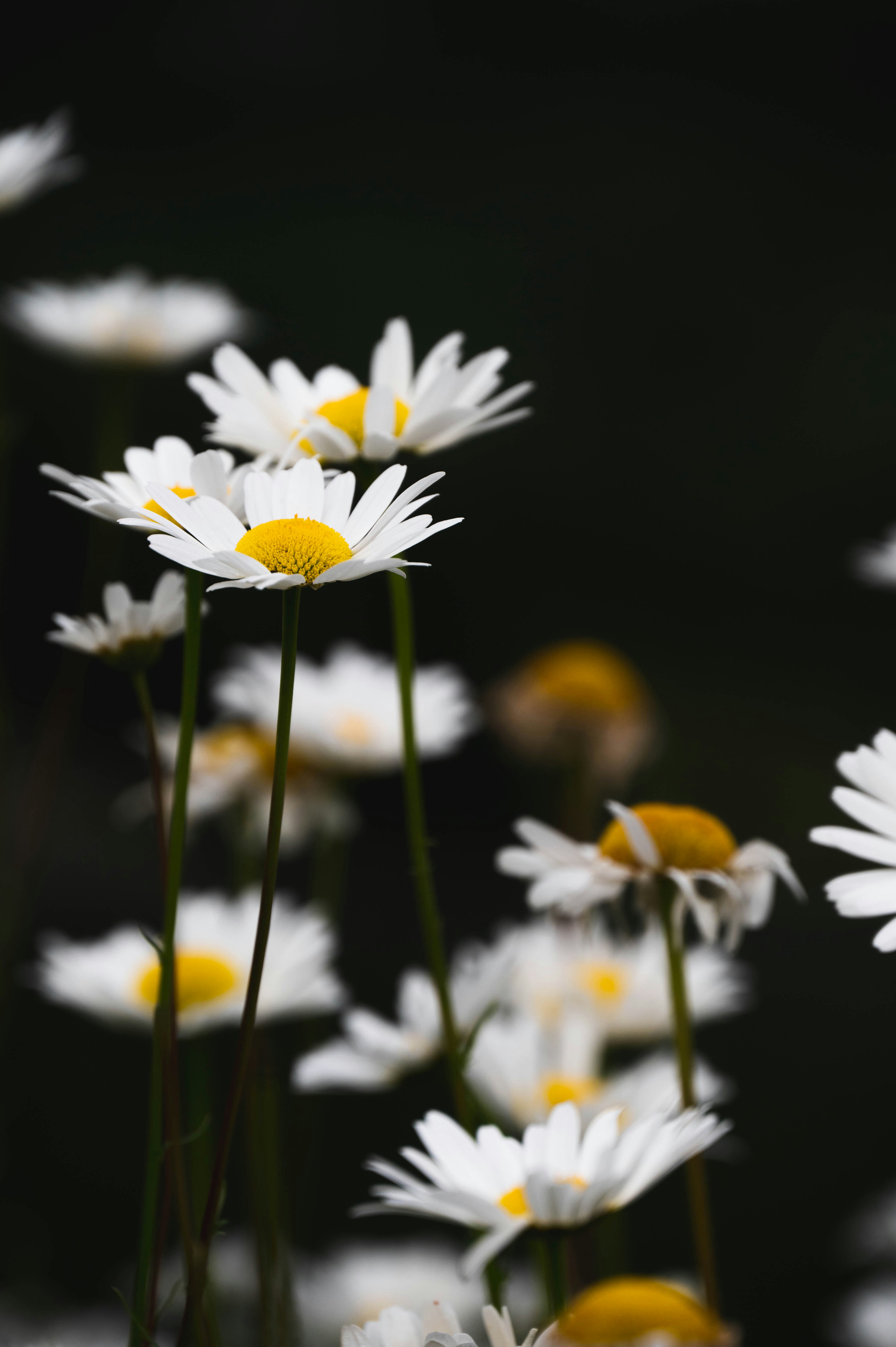 Photo by madisonkuhn