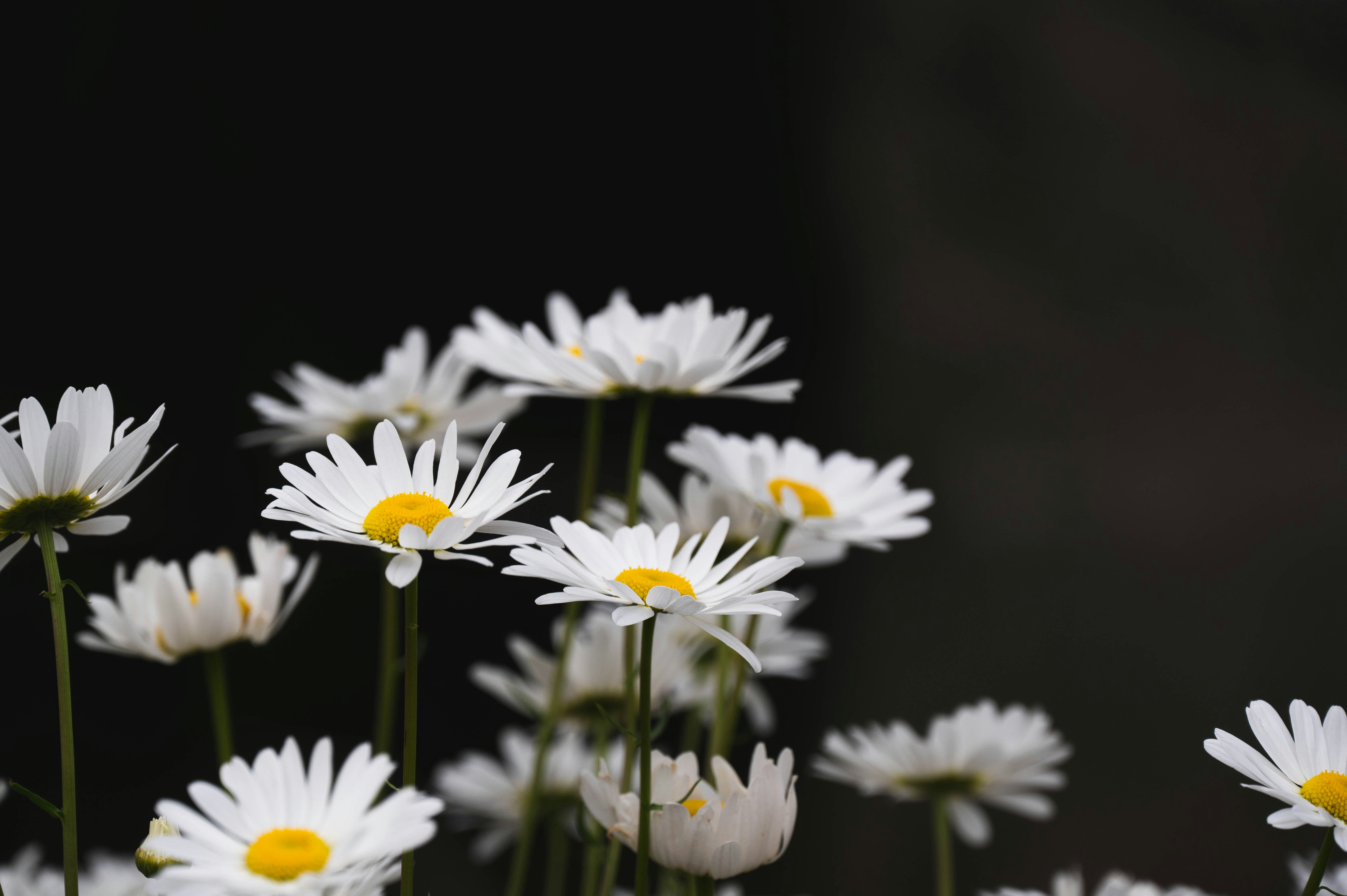 Photo by madisonkuhn