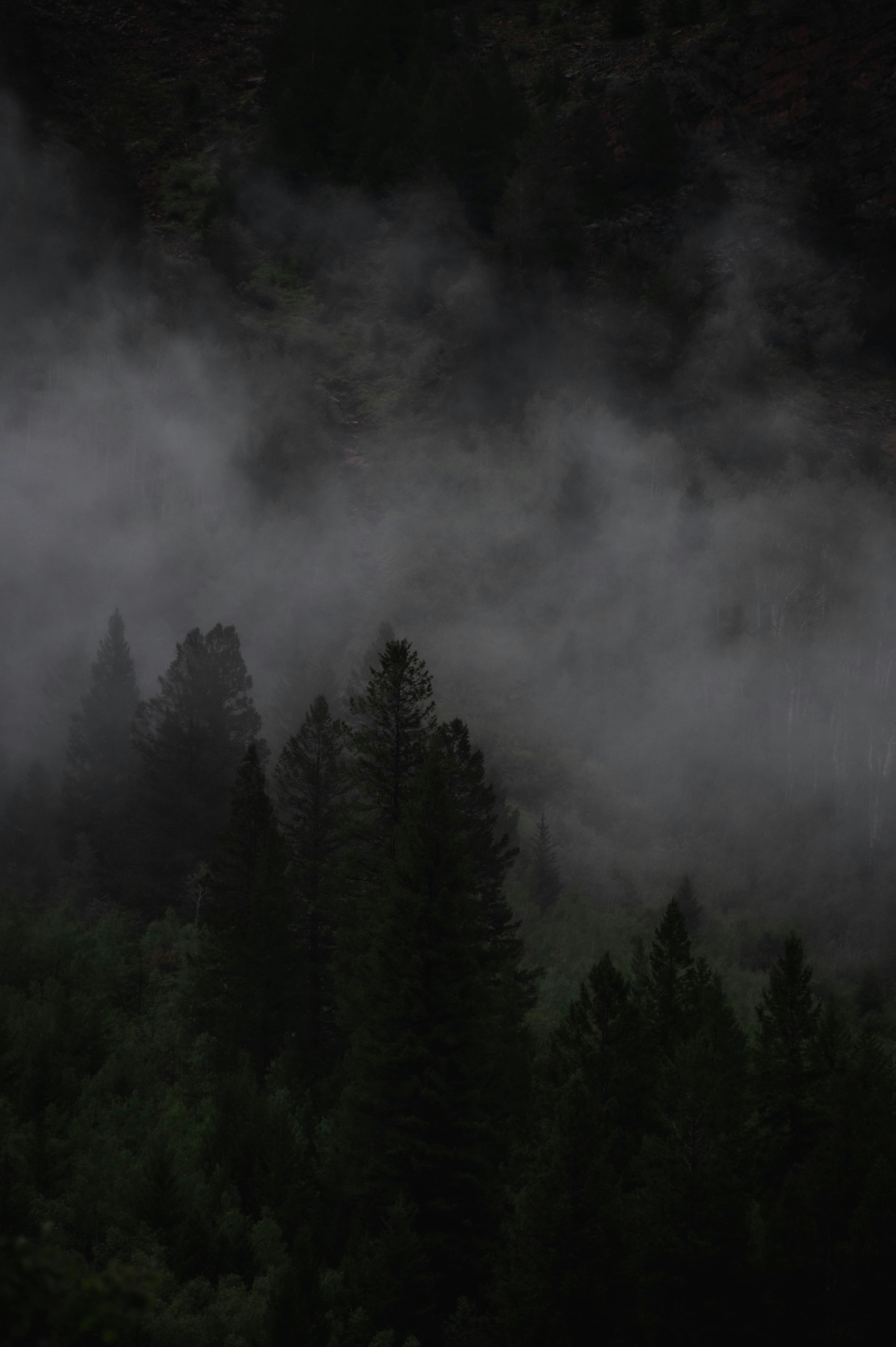 Photo by madisonkuhn