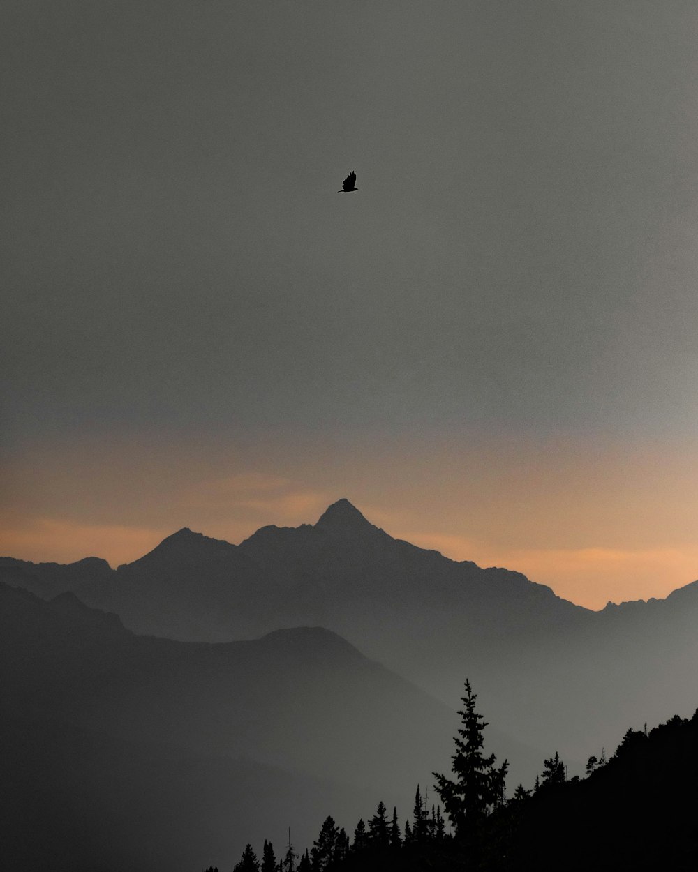 a person in the air with a parachute