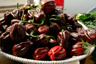 A basket filled with colorful piments freshly harvested from the farm.