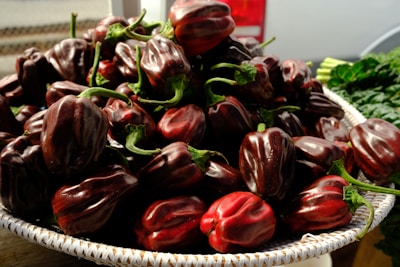 Baskets filled with freshly picked red peppers and green vegetables prepared for export.