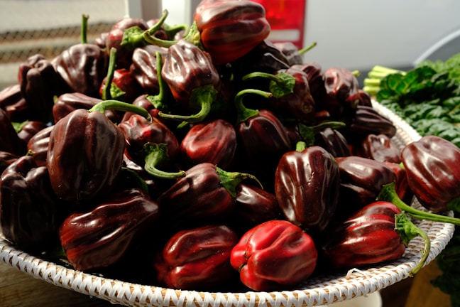 A vibrant basket overflowing with ripe red tomatoes and green peppers.