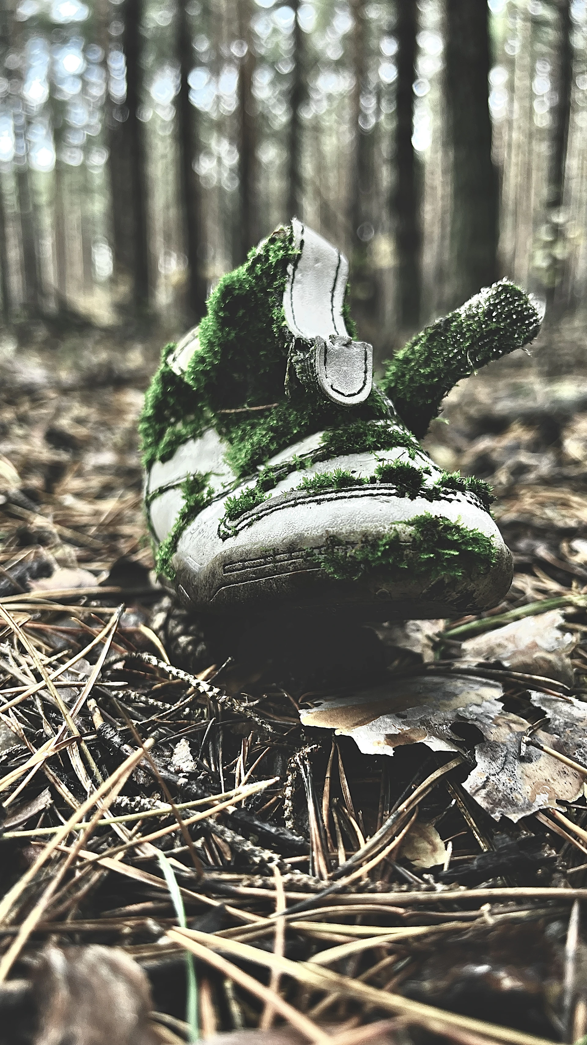 woman holding dried flower