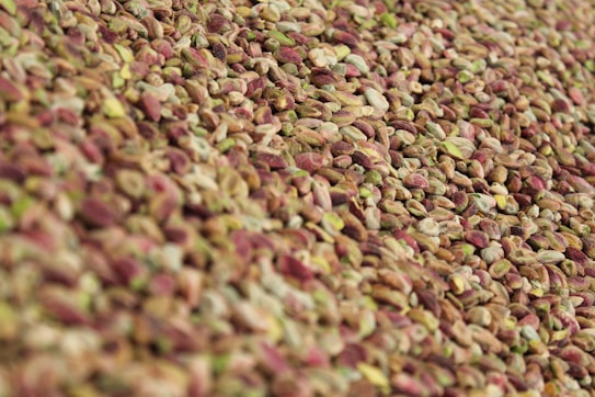 A close-up view of a large quantity of shelled pistachios, displaying their natural pinkish-brown and green hues. The image captures the texture and irregular shapes of the nuts as they form a dense, uneven surface.