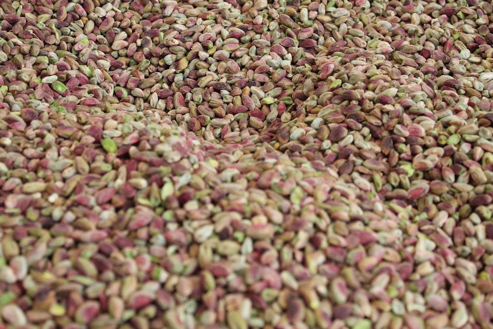 a large group of small pink and green objects