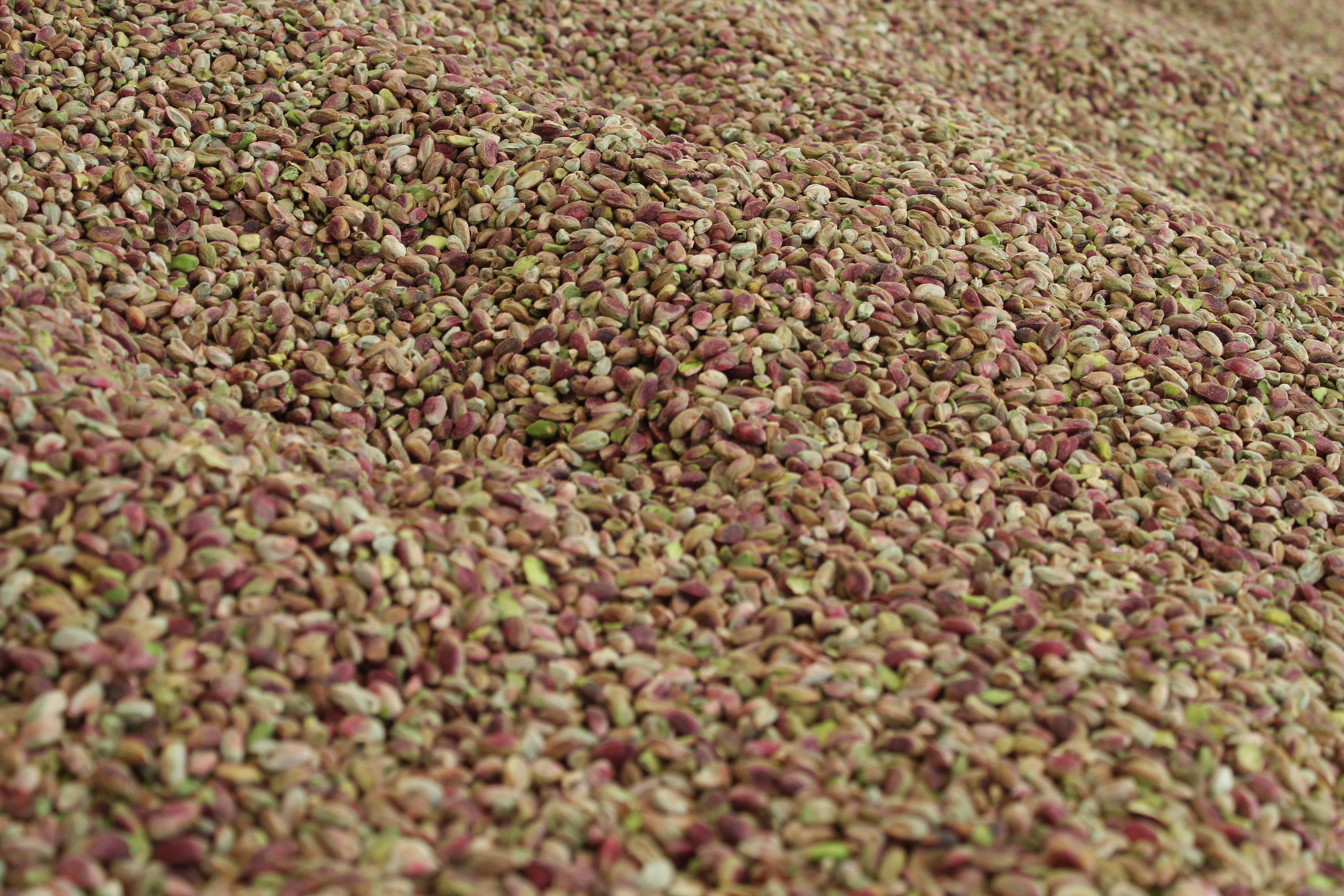 a large group of small pink and white objects
