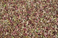 A close-up view of a large pile of shelled pistachio nuts, showcasing a variety of shades from green to brown and hints of reddish-purple.