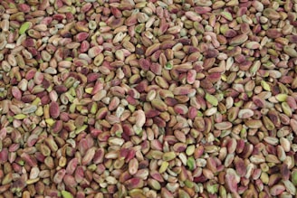 A close-up view of a large pile of shelled pistachio nuts, showcasing a variety of shades from green to brown and hints of reddish-purple.