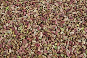 Roasted Pistachios