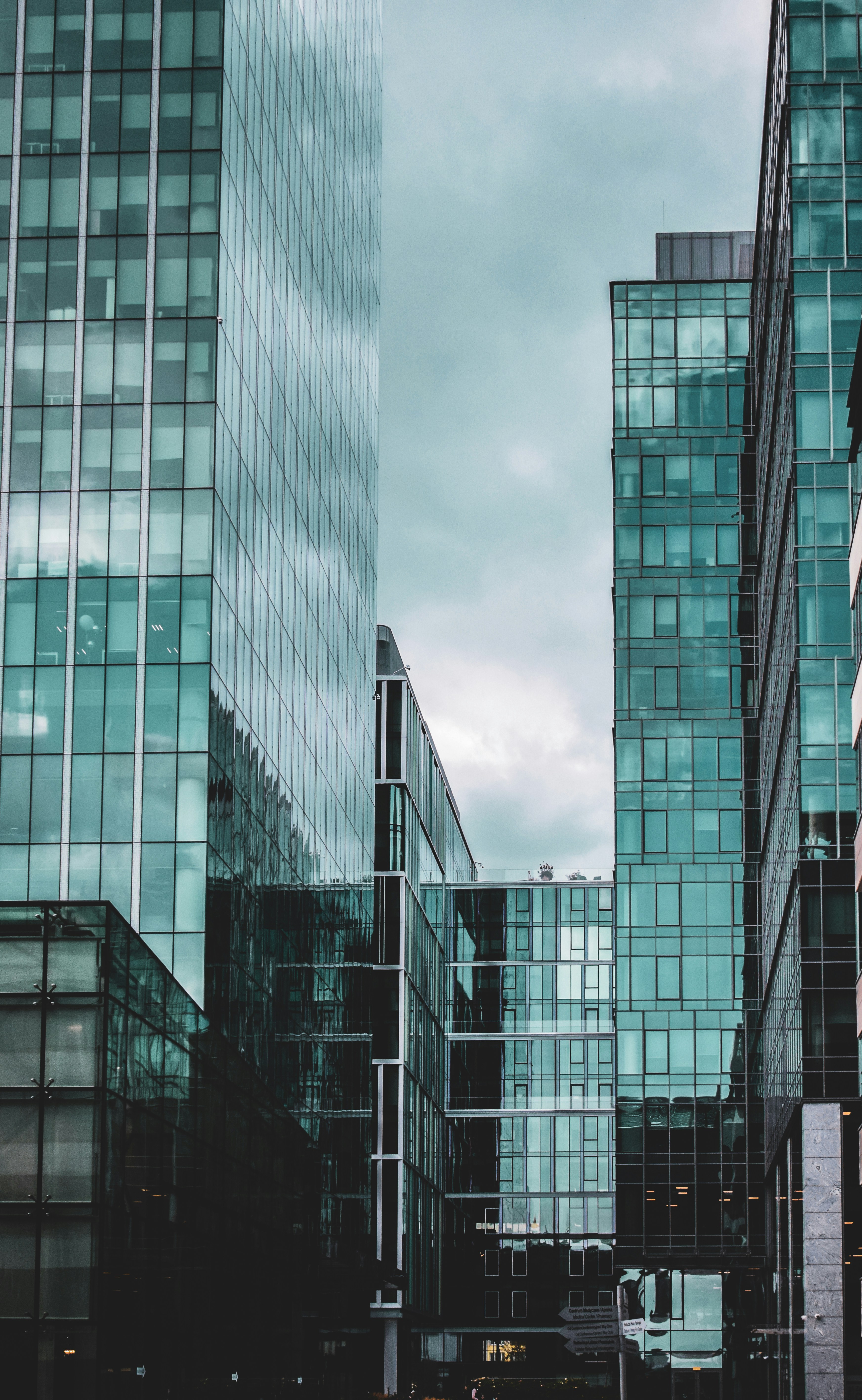 Photo by darya_tryfanava