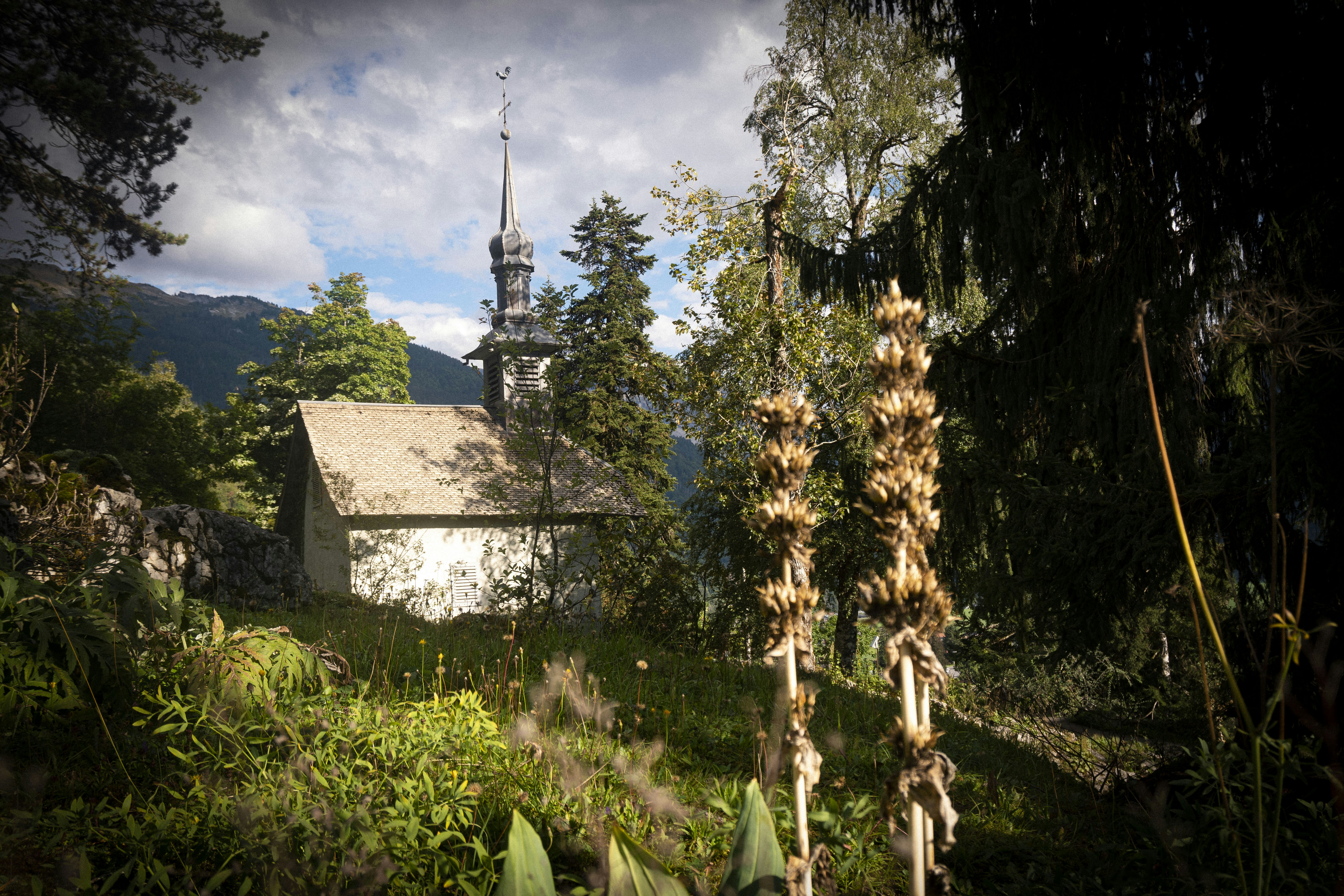 a building in the middle of a forest