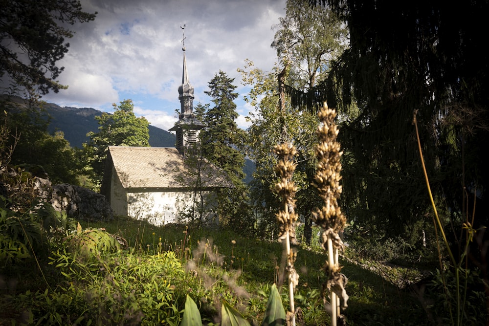 a building in the middle of a forest