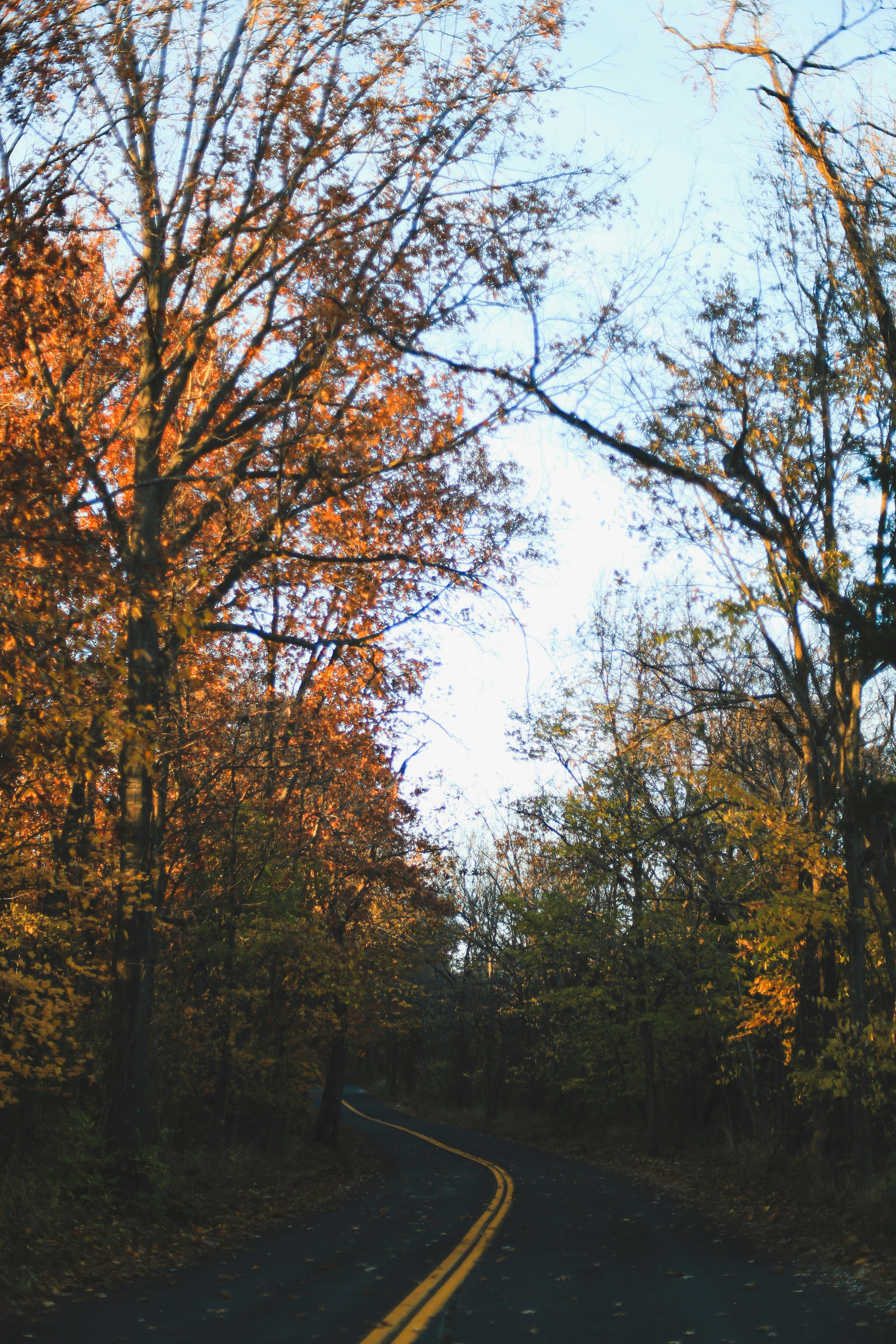 Photo by jessicalfadel