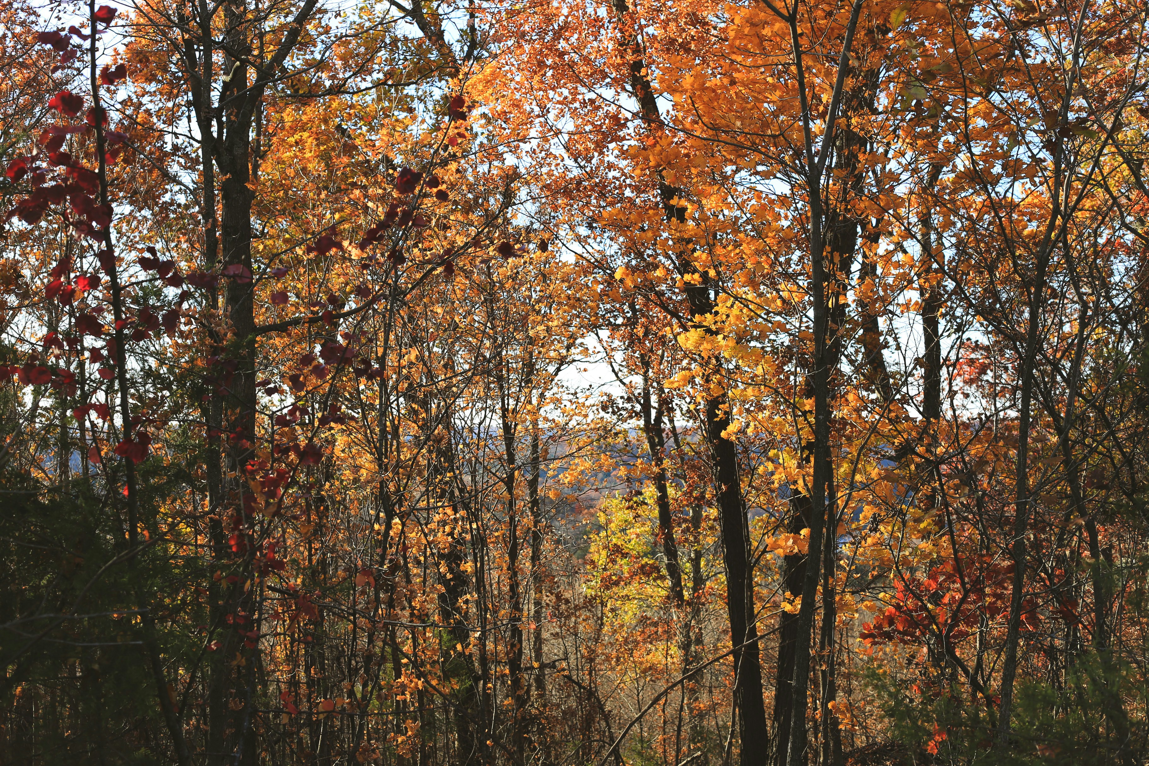 Photo by jessicalfadel