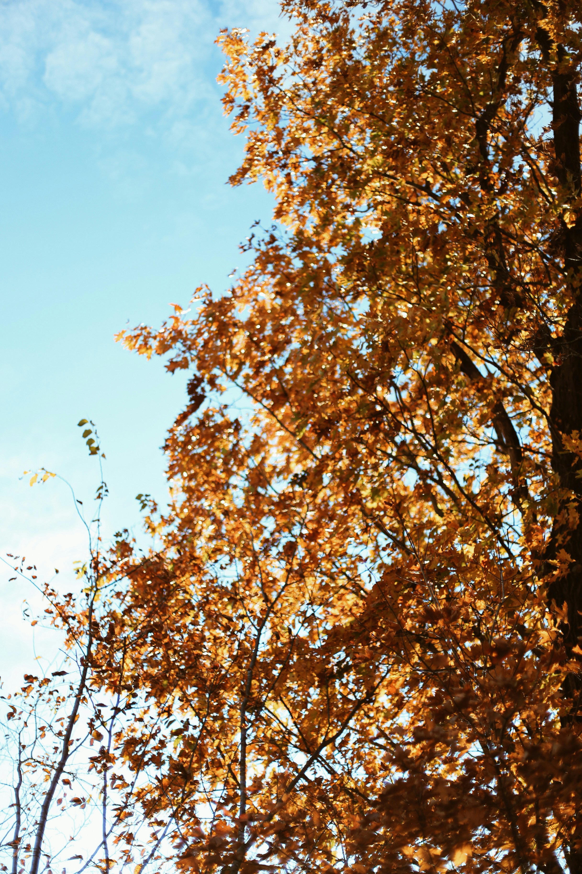 Photo by jessicalfadel