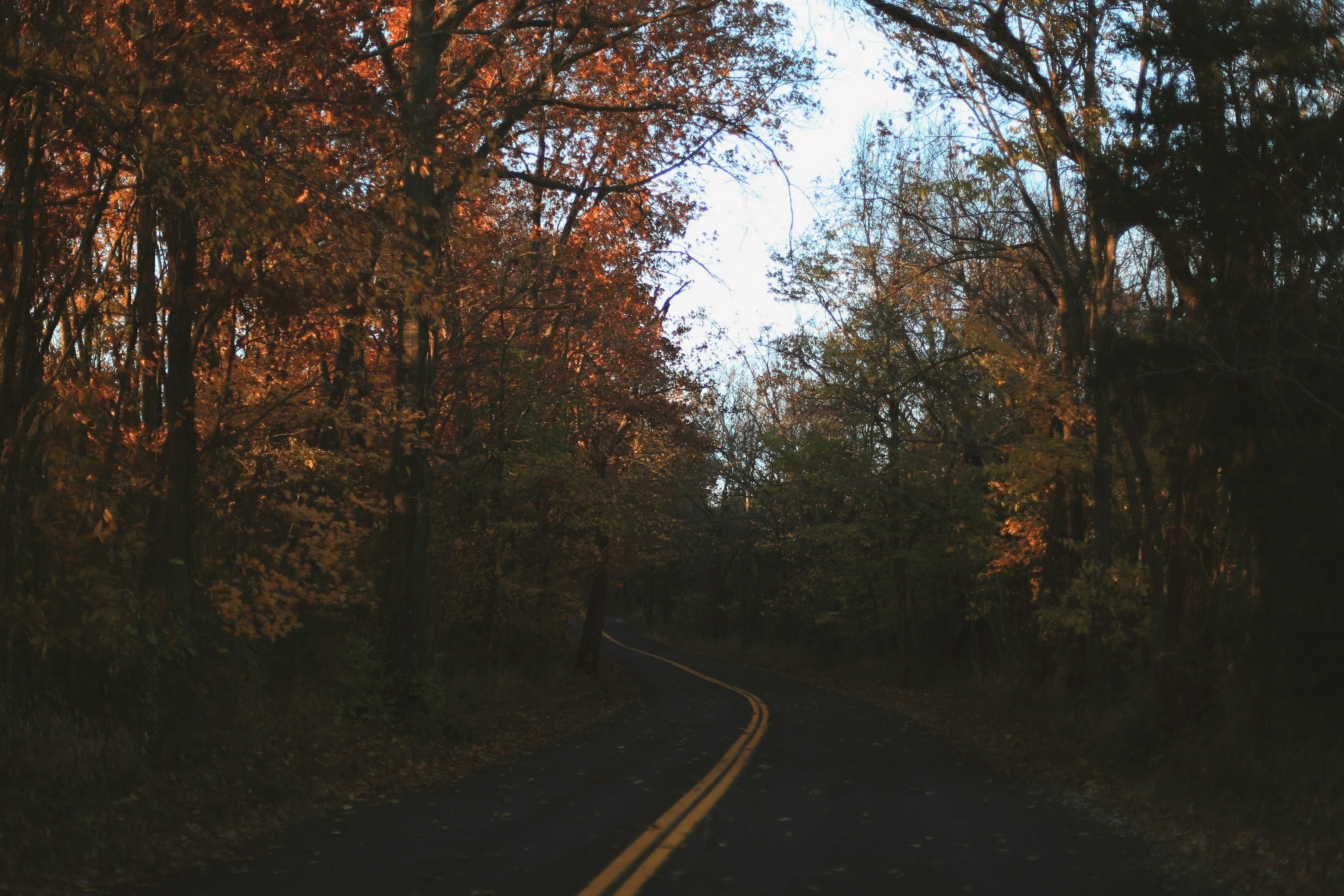 Photo by jessicalfadel