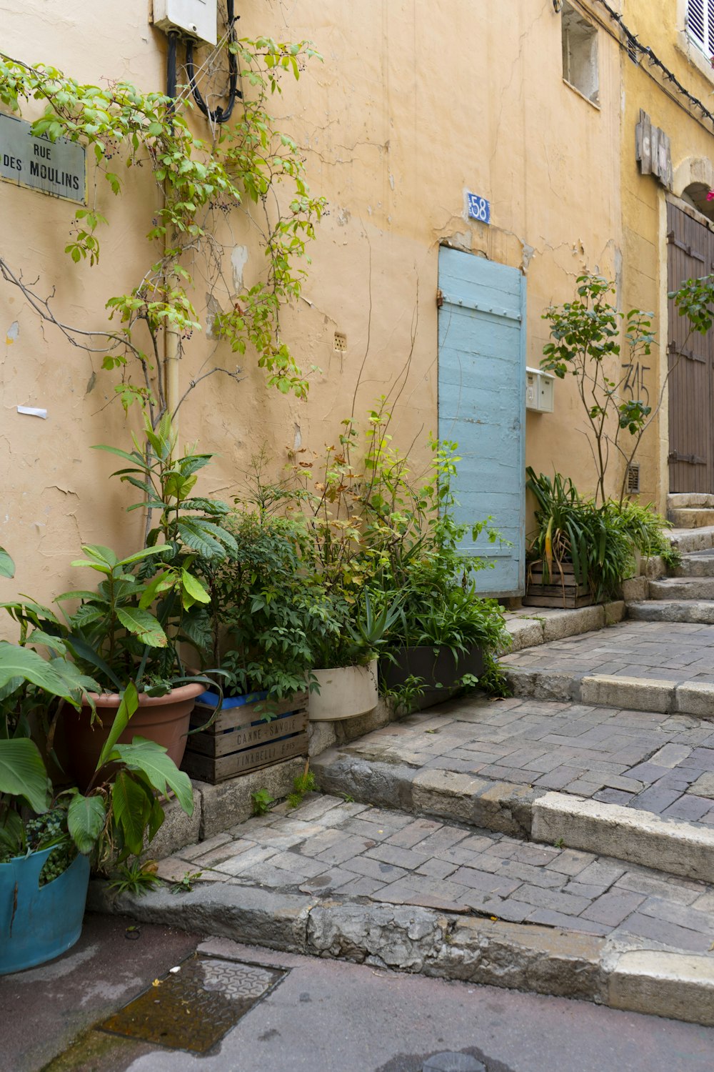 a building with plants and a blue door