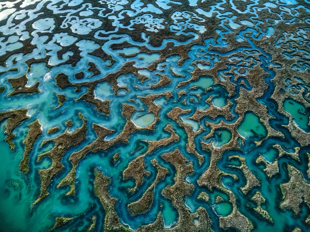 a close-up of a map