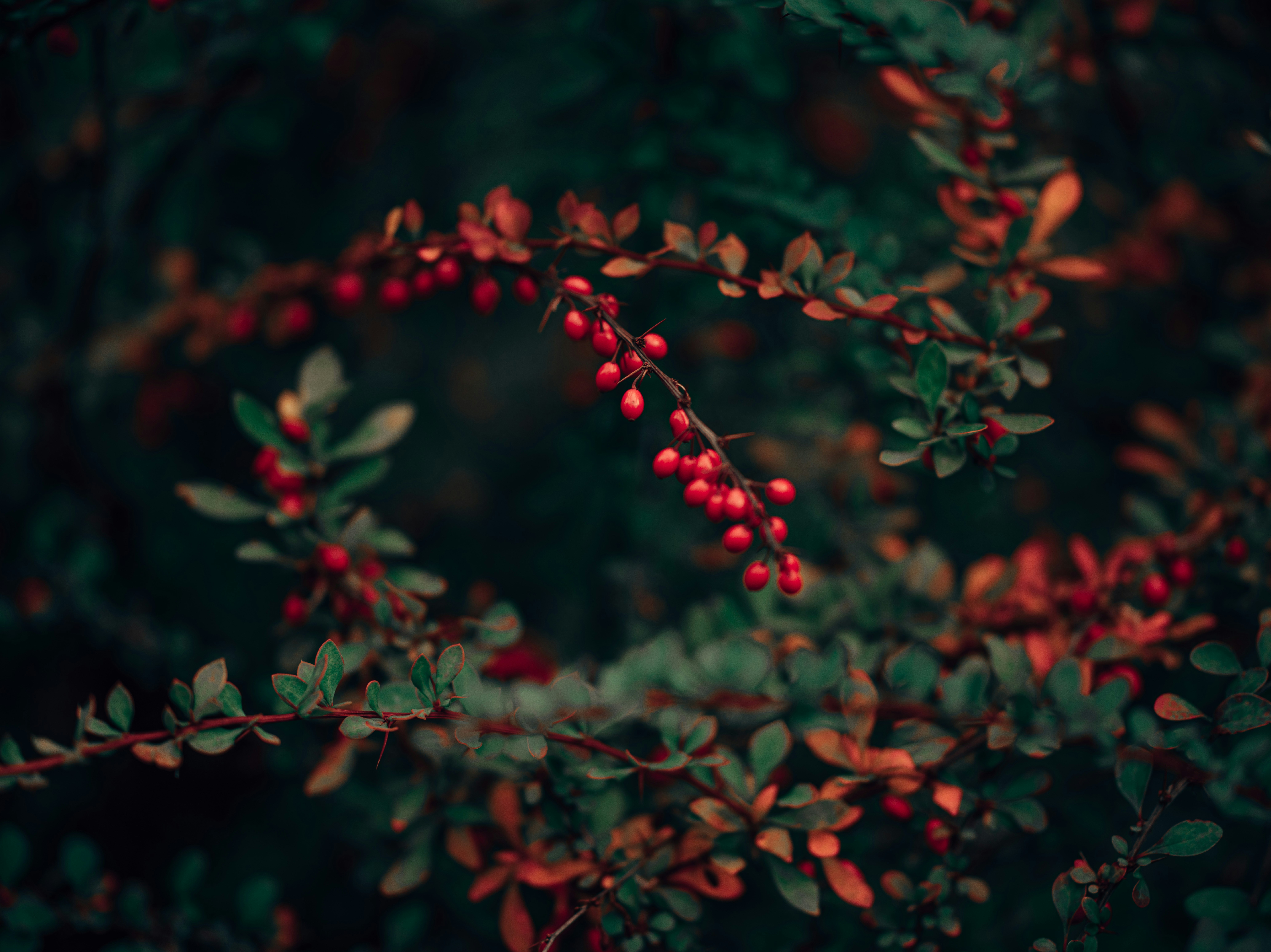 Photo by egorkomarov