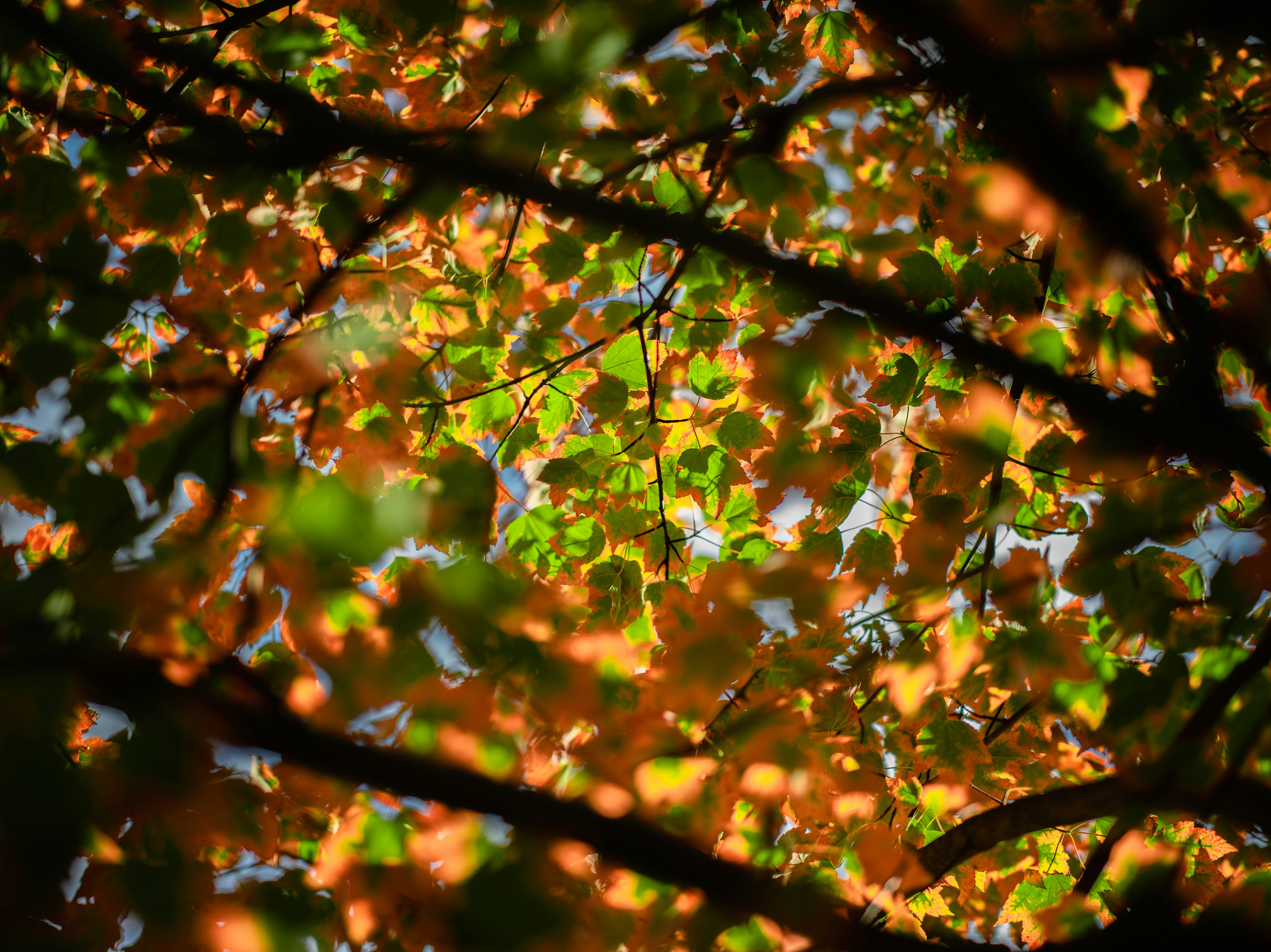 Photo by egorkomarov