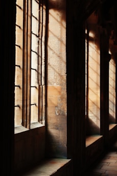 Sunlight streaming through tall windows of a historic European library.
