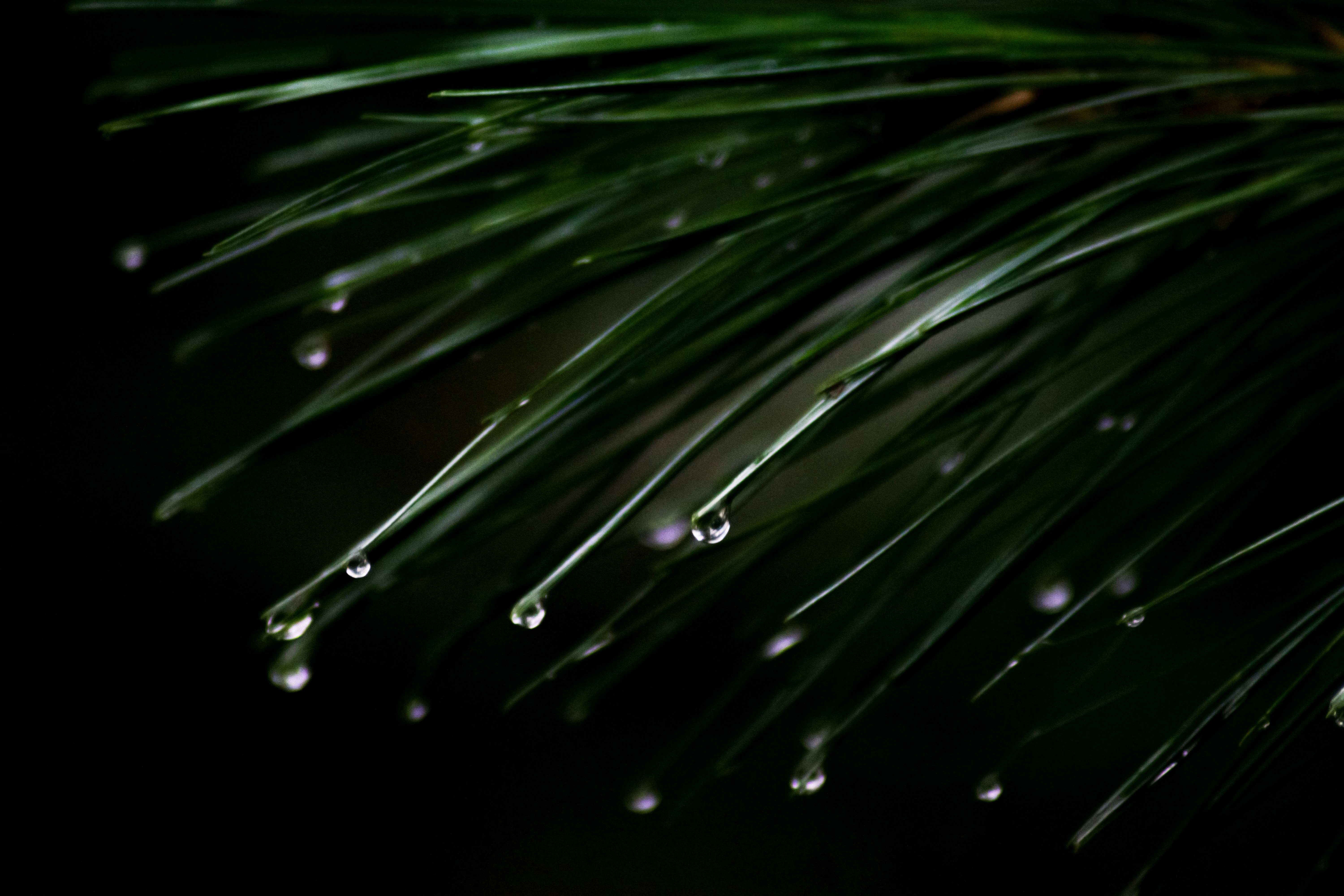 water droplets on a surface