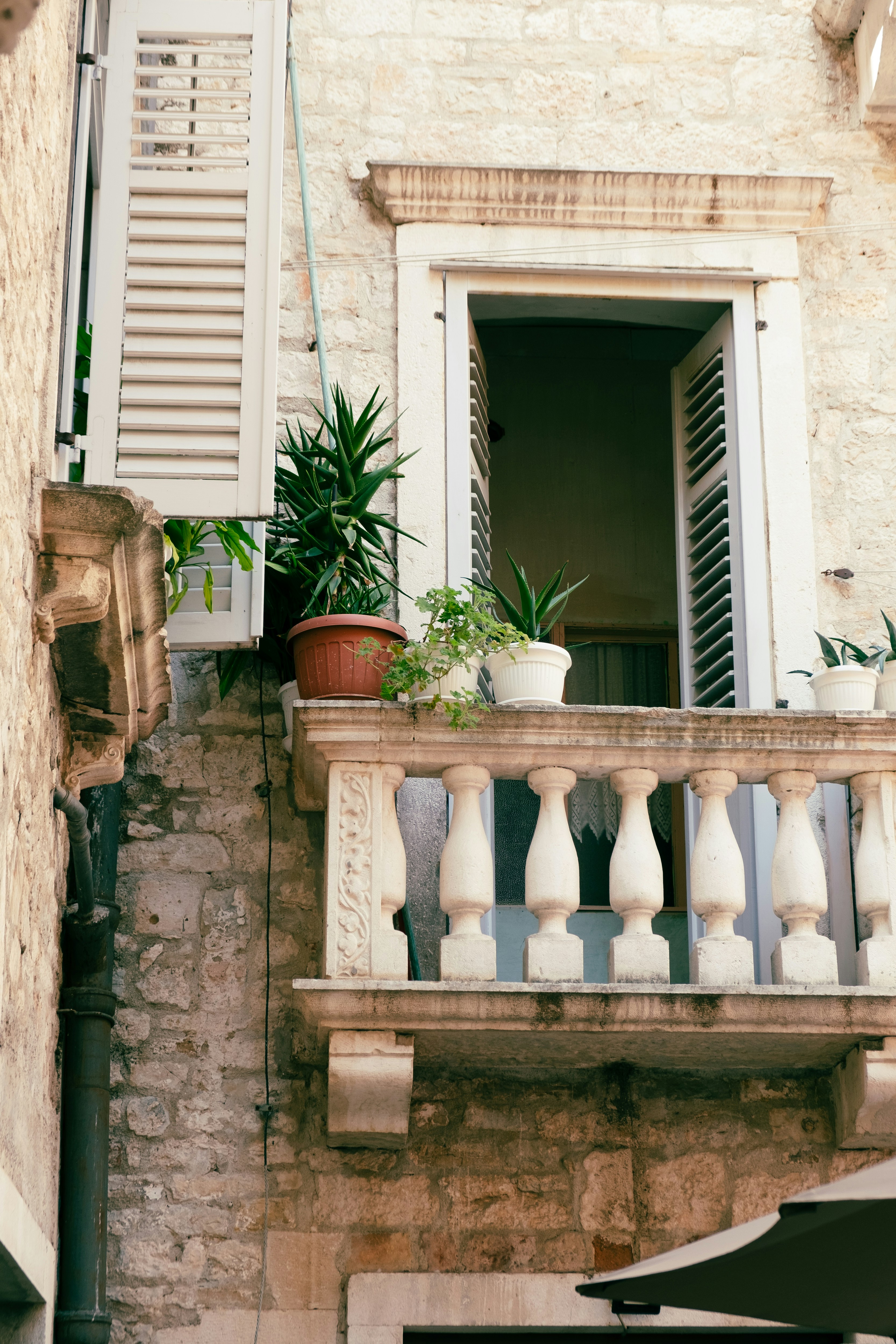 Photo by istvanszitas