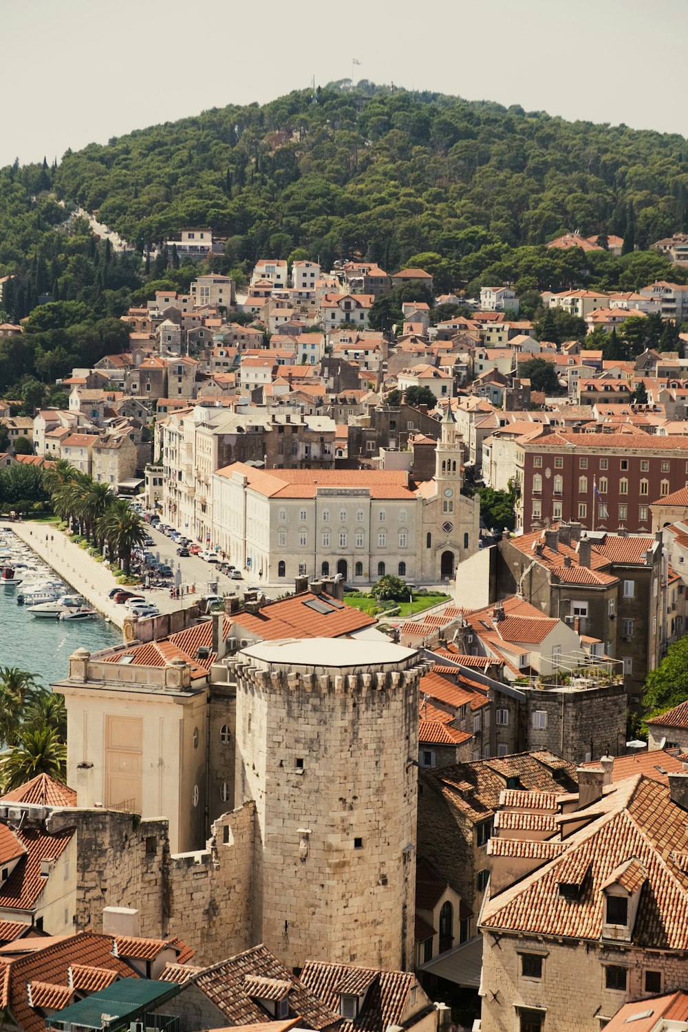 a city with many buildings and trees