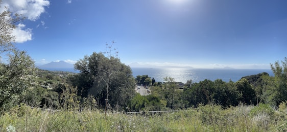 Scenic view of Ilha Grande coastline with lush greenery and clear blue water.