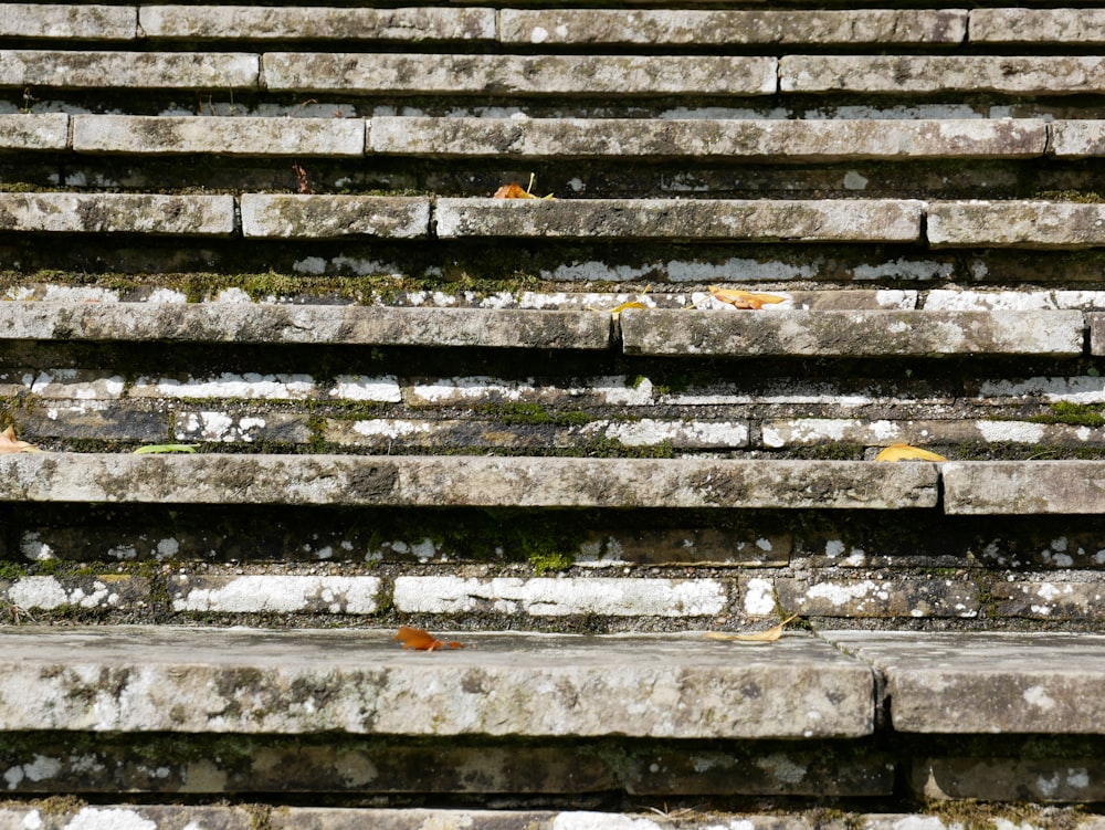 a set of wooden stairs