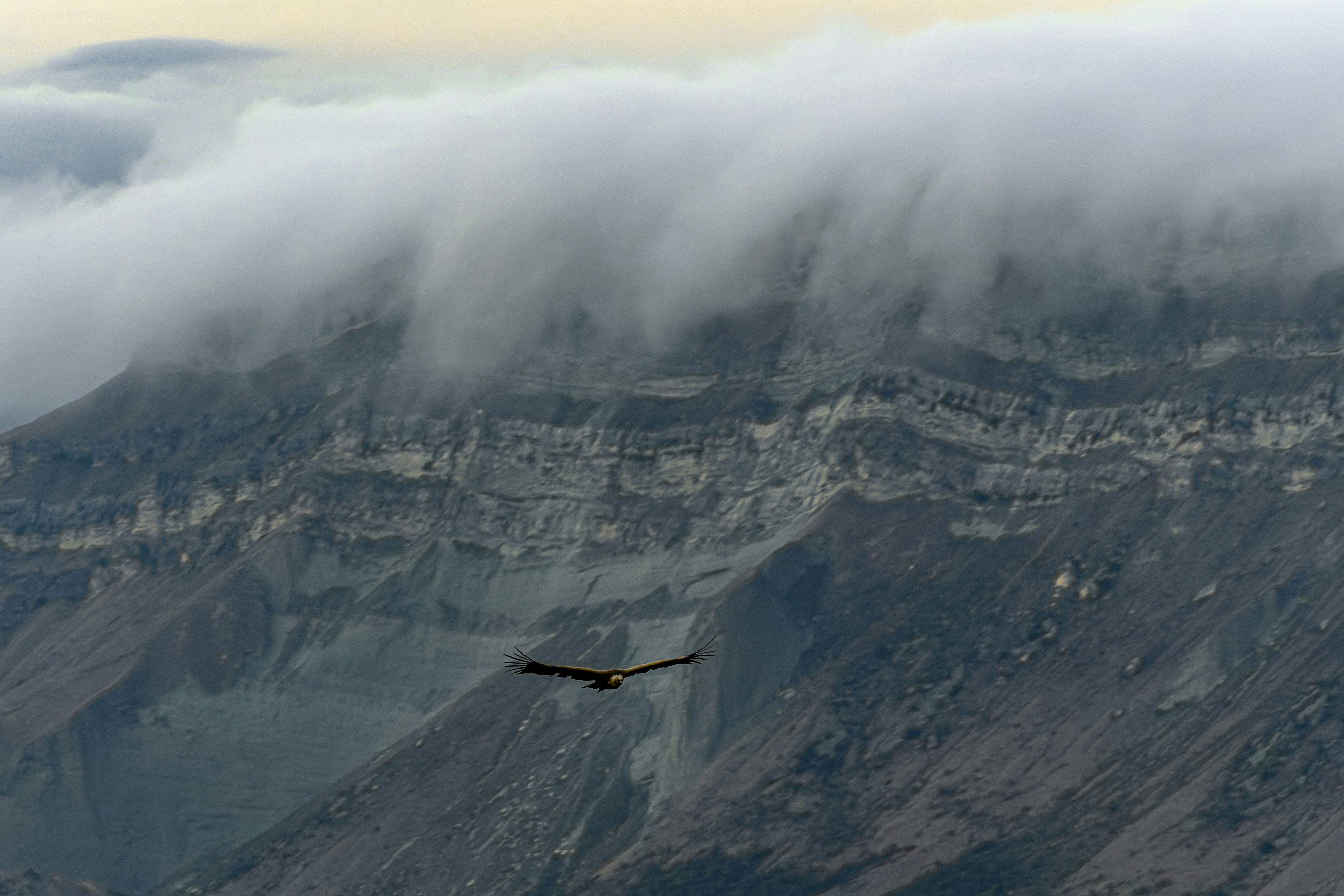 伊朗警告若以色列再攻擊將部署升級導彈